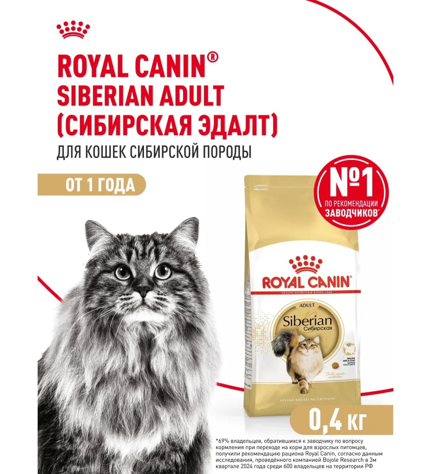 Royal Canin Dry food for Siberian cats Adult 400 g - Buy Online on GoSupps.com