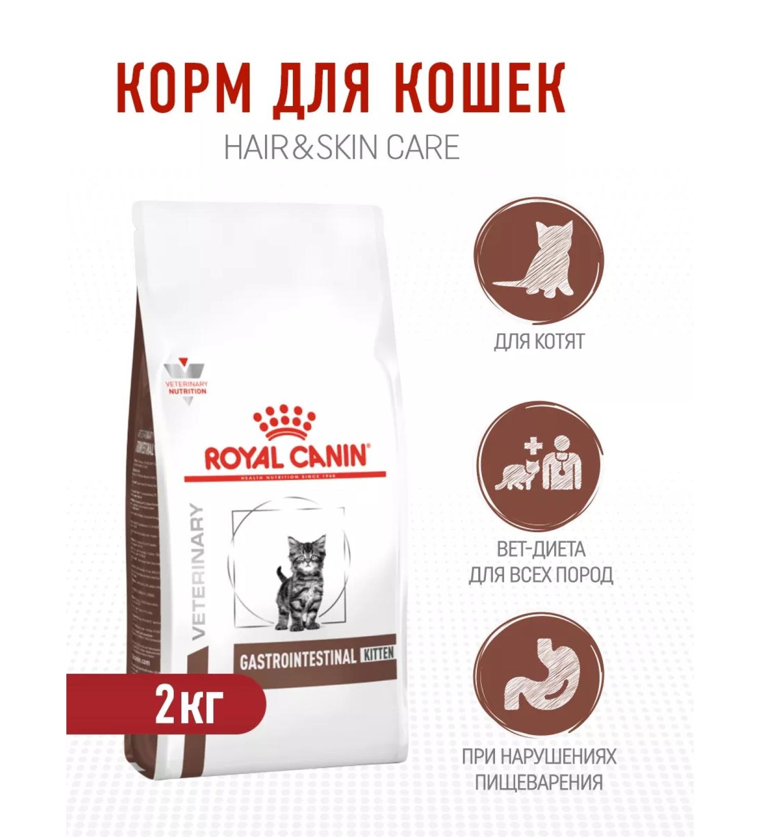 ROYAL CANIN Dry food for kittens 2-10 months for digestion - 2 kg - Buy Online on GoSupps.com