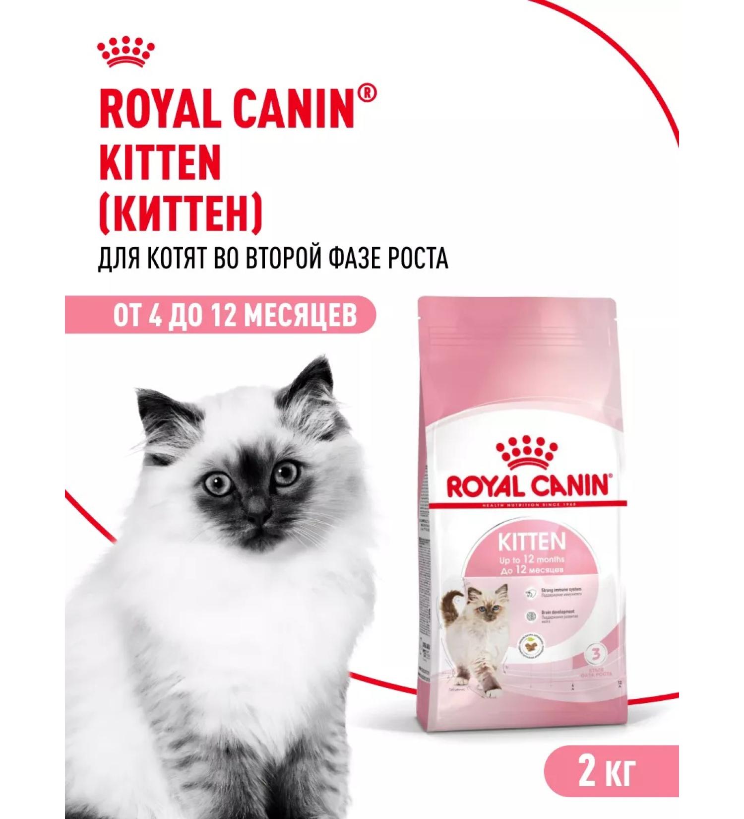 ROYAL CANIN Dry food for kittens from 4 to 12 months Kitten 2 kg - Buy Online on GoSupps.com