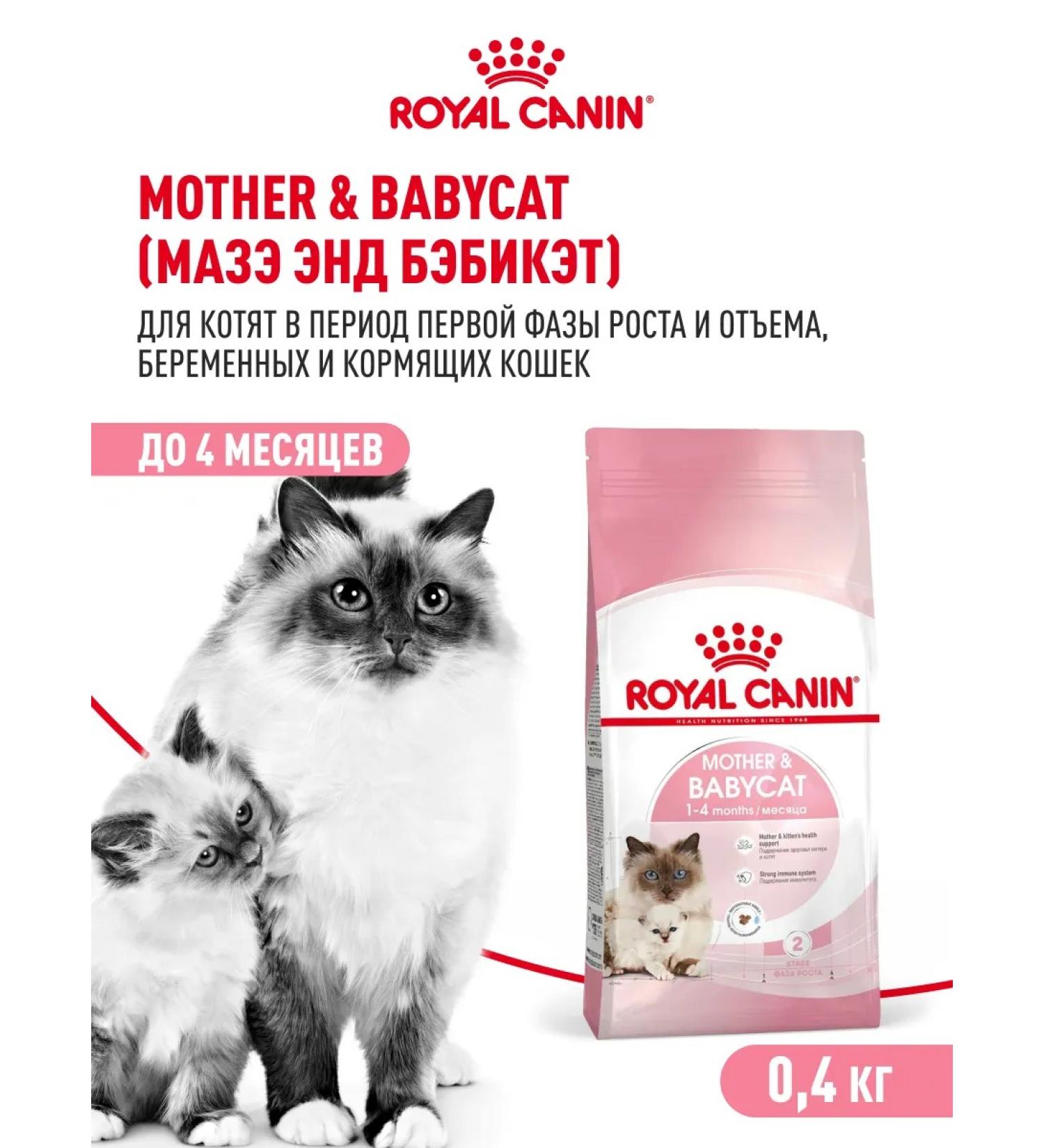 ROYAL CANIN Dry food for nursing and pregnant cats and kittens 400 g - Buy Online on GoSupps.com