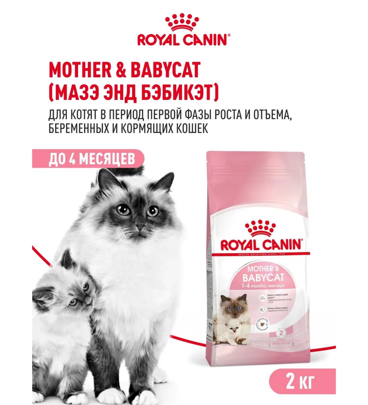 ROYAL CANIN Dry food for kittens Mother & Babycat 2 kg - Buy Online on GoSupps.com
