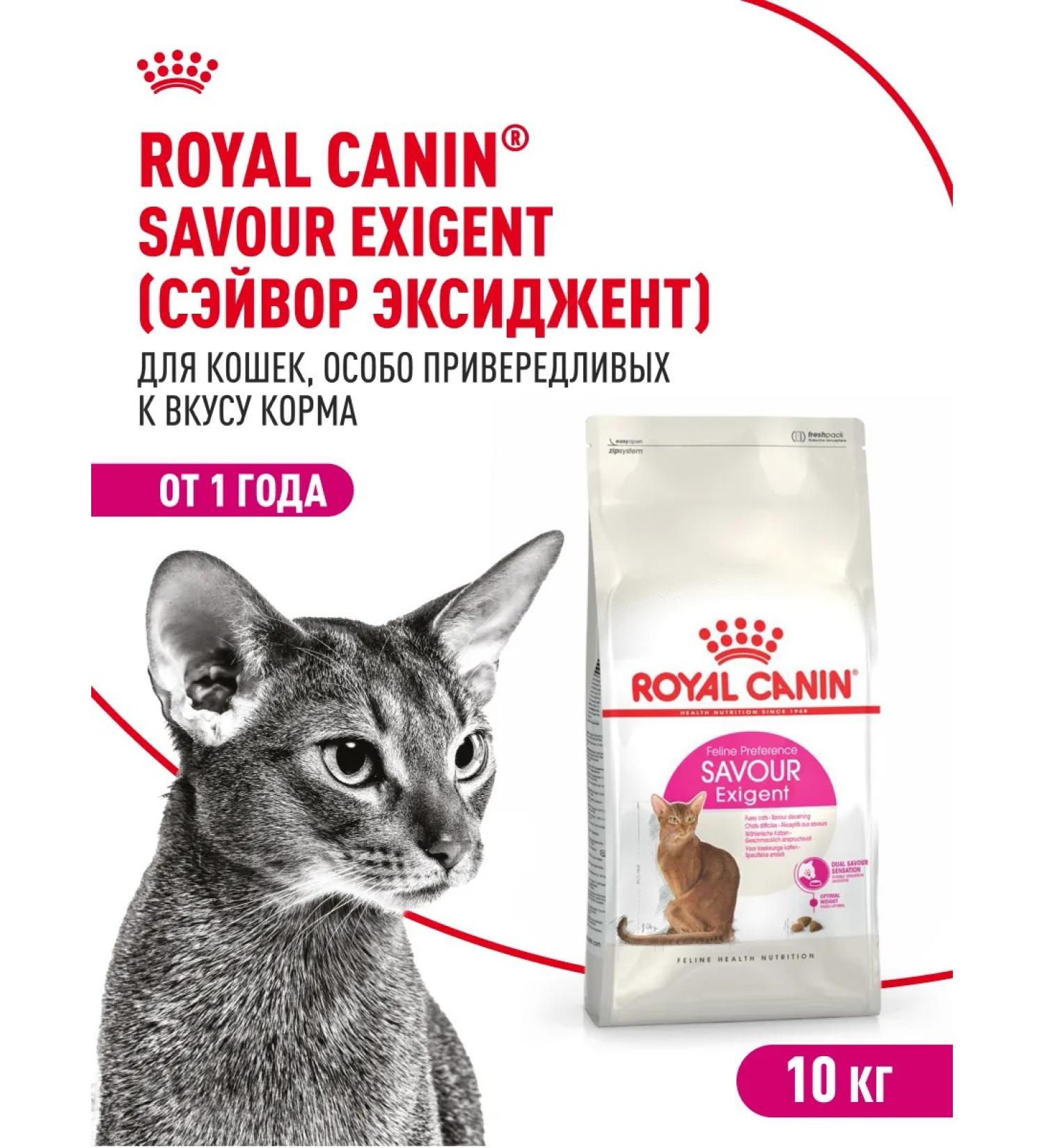 Royal Canin Dry food for fastidious cats Savour Exigent 10 kg - Buy Online on GoSupps.com
