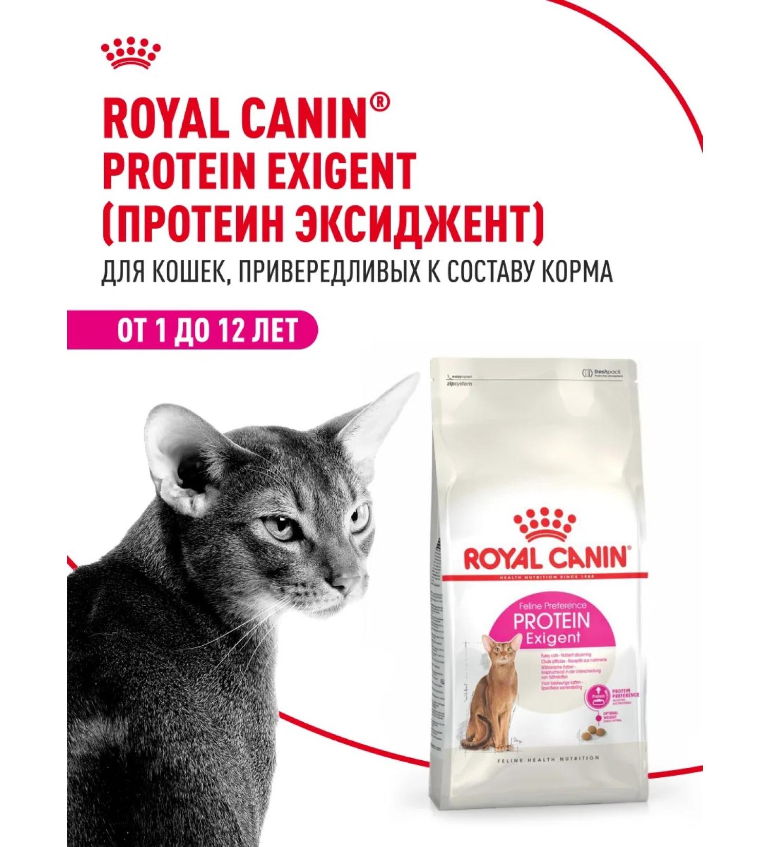 ROYAL CANIN Dry food for fastidious cats Protein Exigent 400 g - Buy Online on GoSupps.com