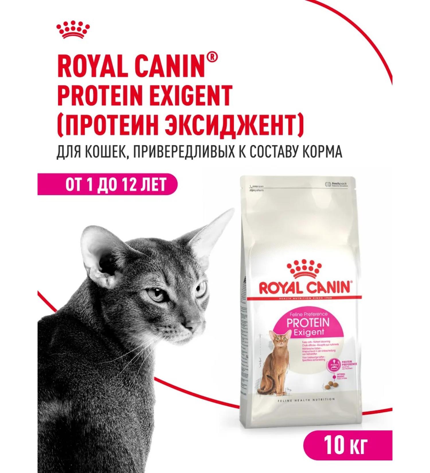 Royal Canin Dry food for fastidious cats Protein Exigent 10 kg - Buy Online on GoSupps.com