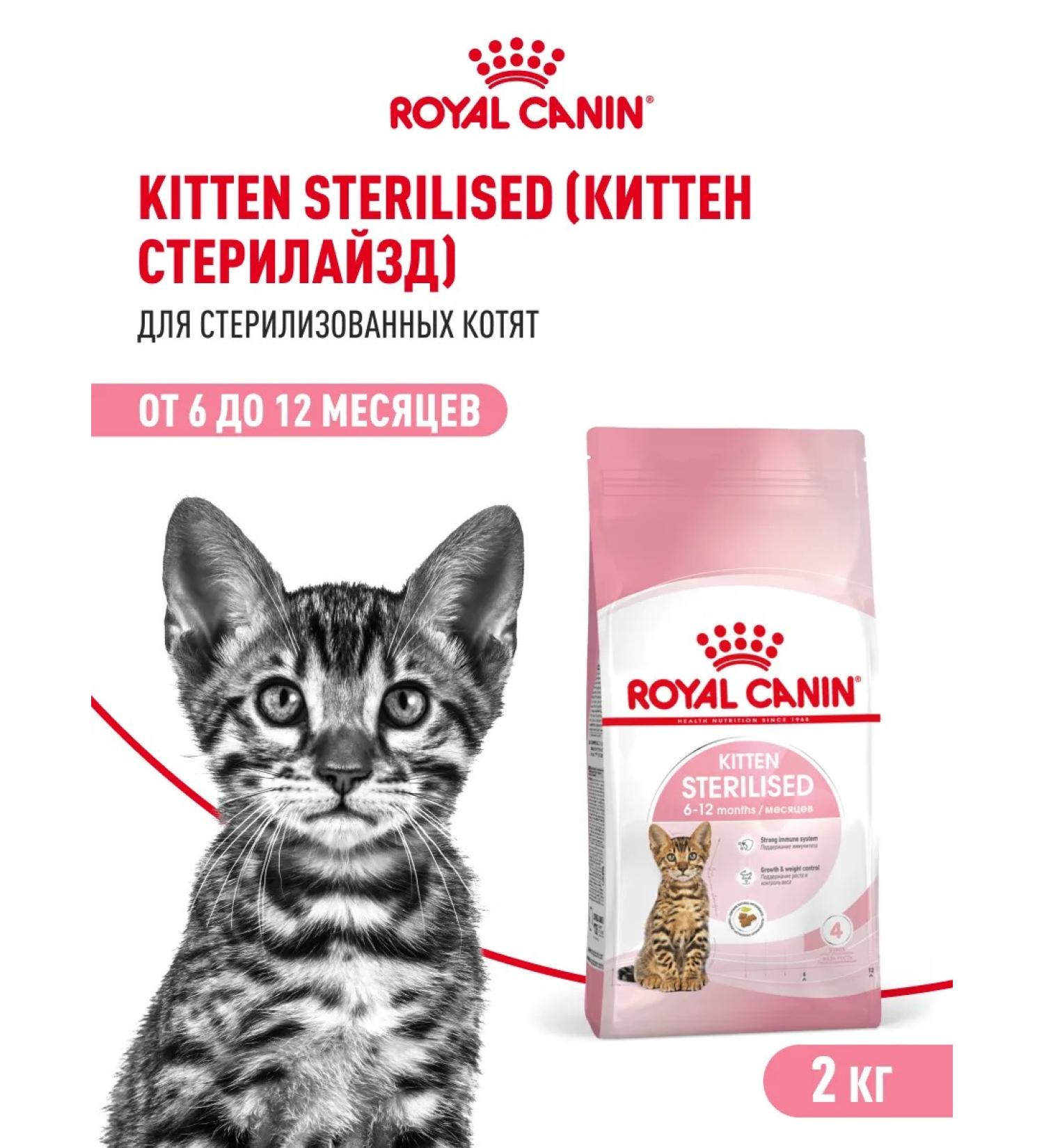 ROYAL CANIN Dry food for sterilized kittens Sterilated Kitten 2 kg - Buy Online on GoSupps.com