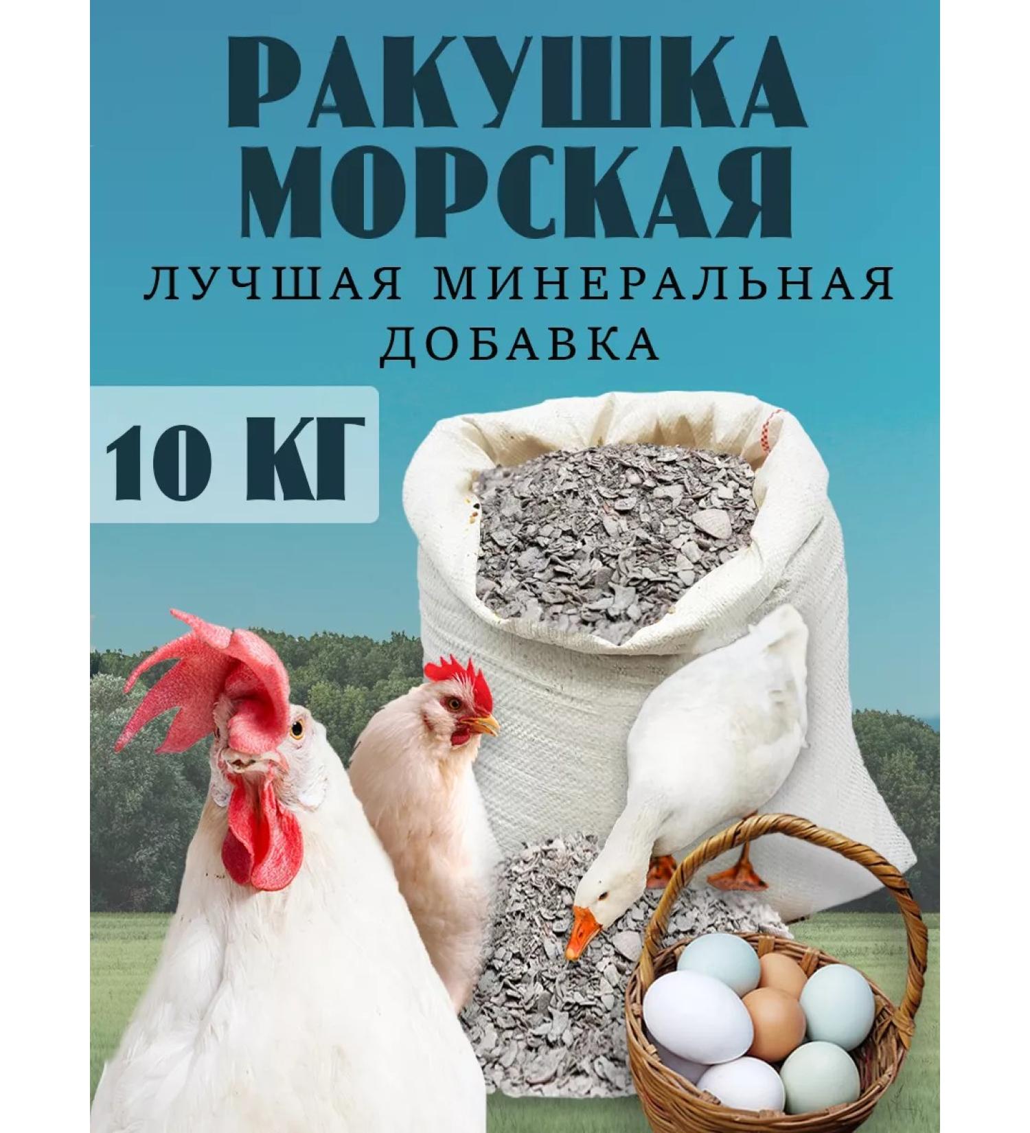 KORMIS Broke for chickens marine fodder additive 10 kg - Buy Online on GoSupps.com