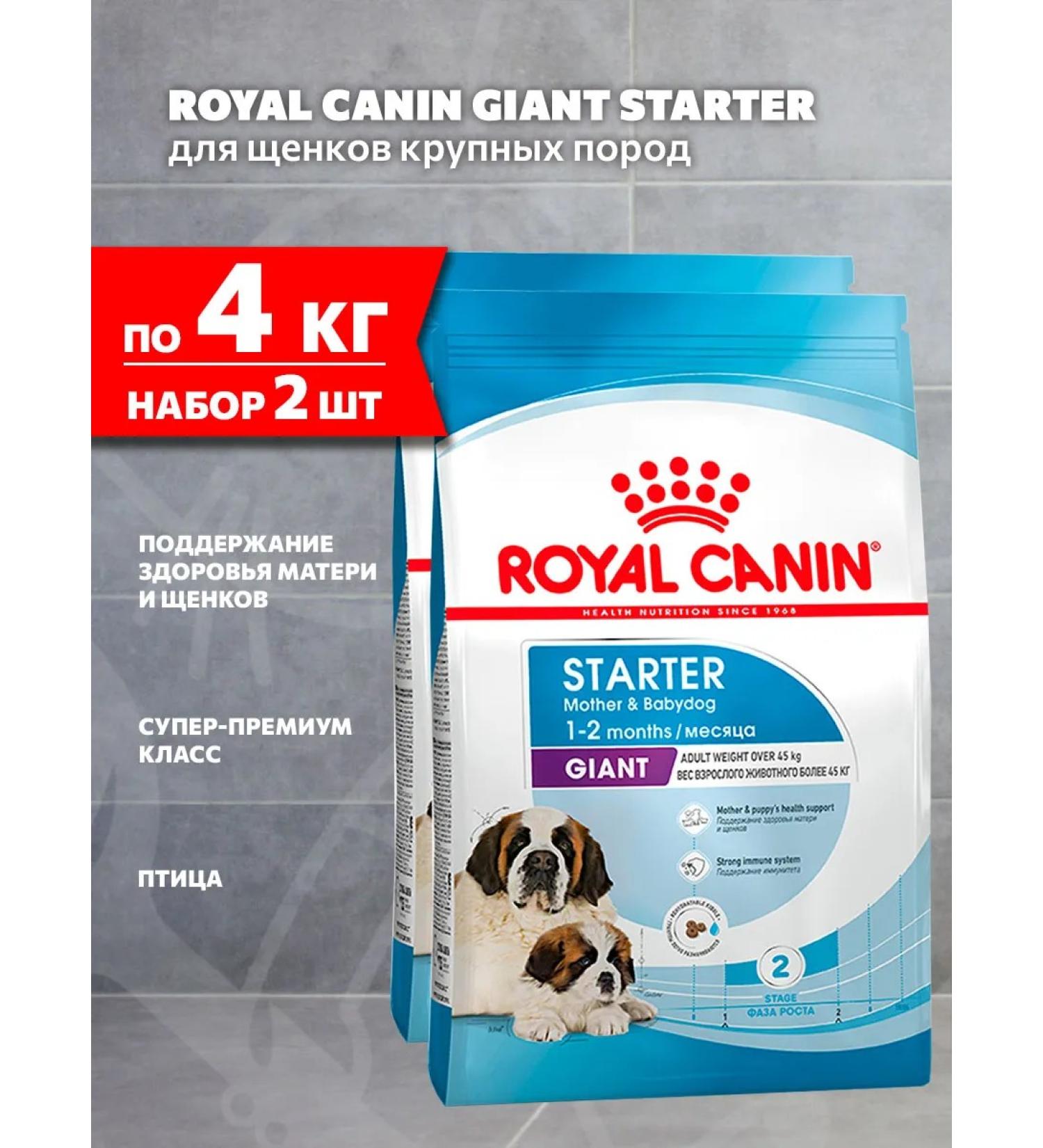 ROYAL CANIN Dry food Giant Starter for puppies of large rocks 4 kg 2 pcs - Buy Online on GoSupps.com