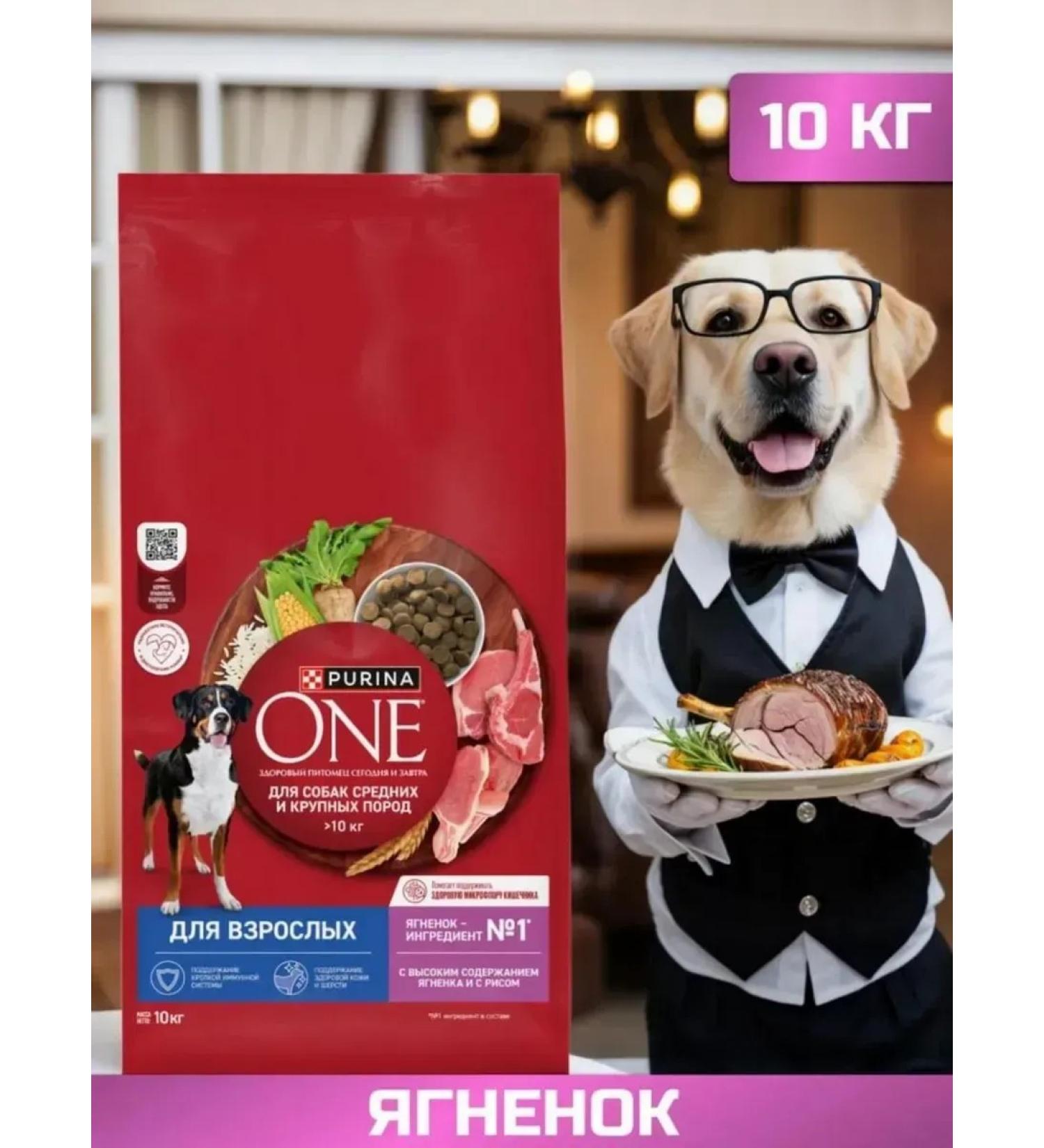 PURINA ONE Dry food for dogs with lamb 10 kg - Buy Online on GoSupps.com