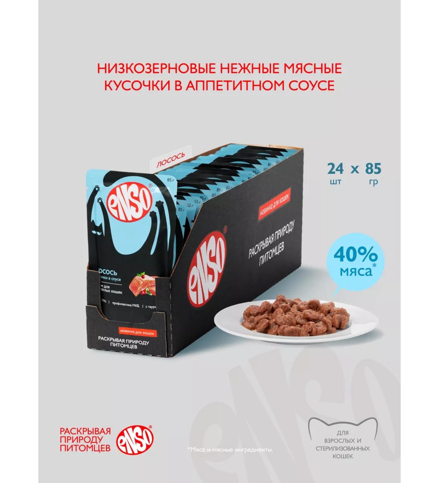 Enso Cat food pieces in sauce with salmon (85 g x 24pcs) - Buy Online on GoSupps.com
