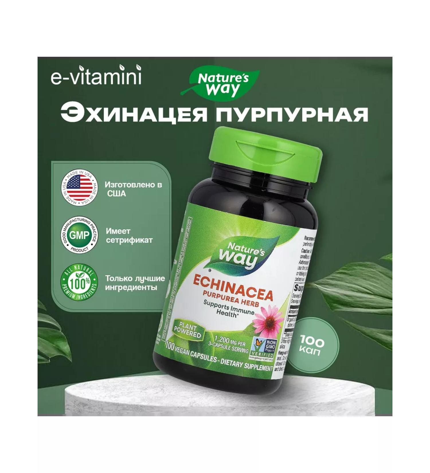 Echinacea Purple 100 vegan capsules - Buy Online on GoSupps.com