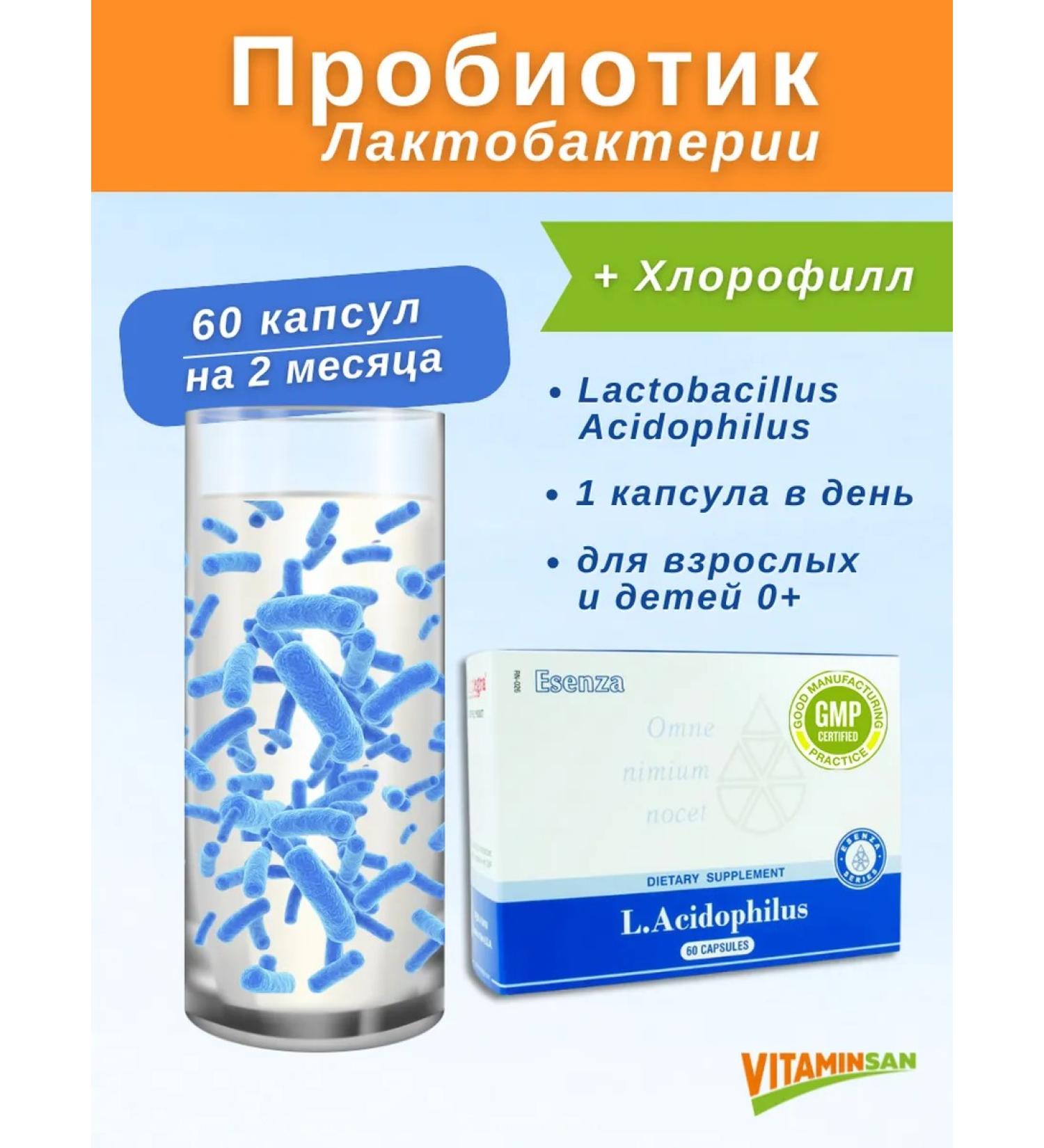 Vitaminsan L. Acidophilus Probiotic for the intestines lactobacilli - Buy Online on GoSupps.com