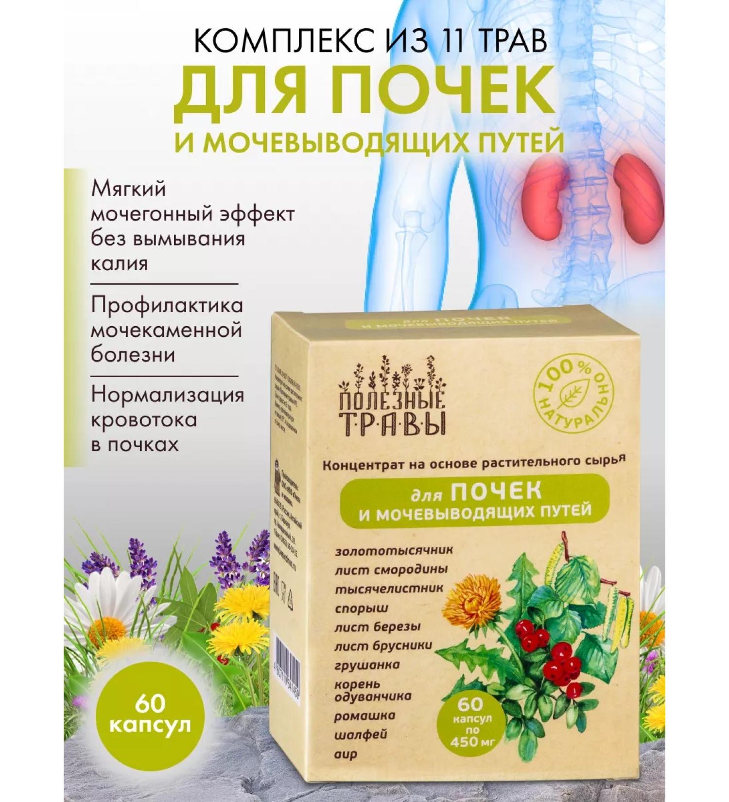 Dietary supplements of Siberia Renal fee for kidneys - Buy Online on GoSupps.com