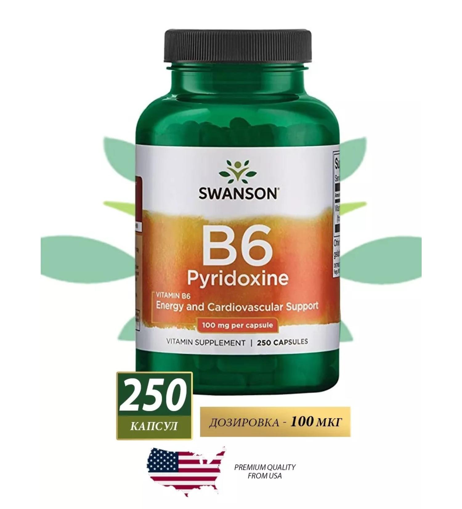 Swanson Vitamin B6 100 mg b6 b 6 100 250