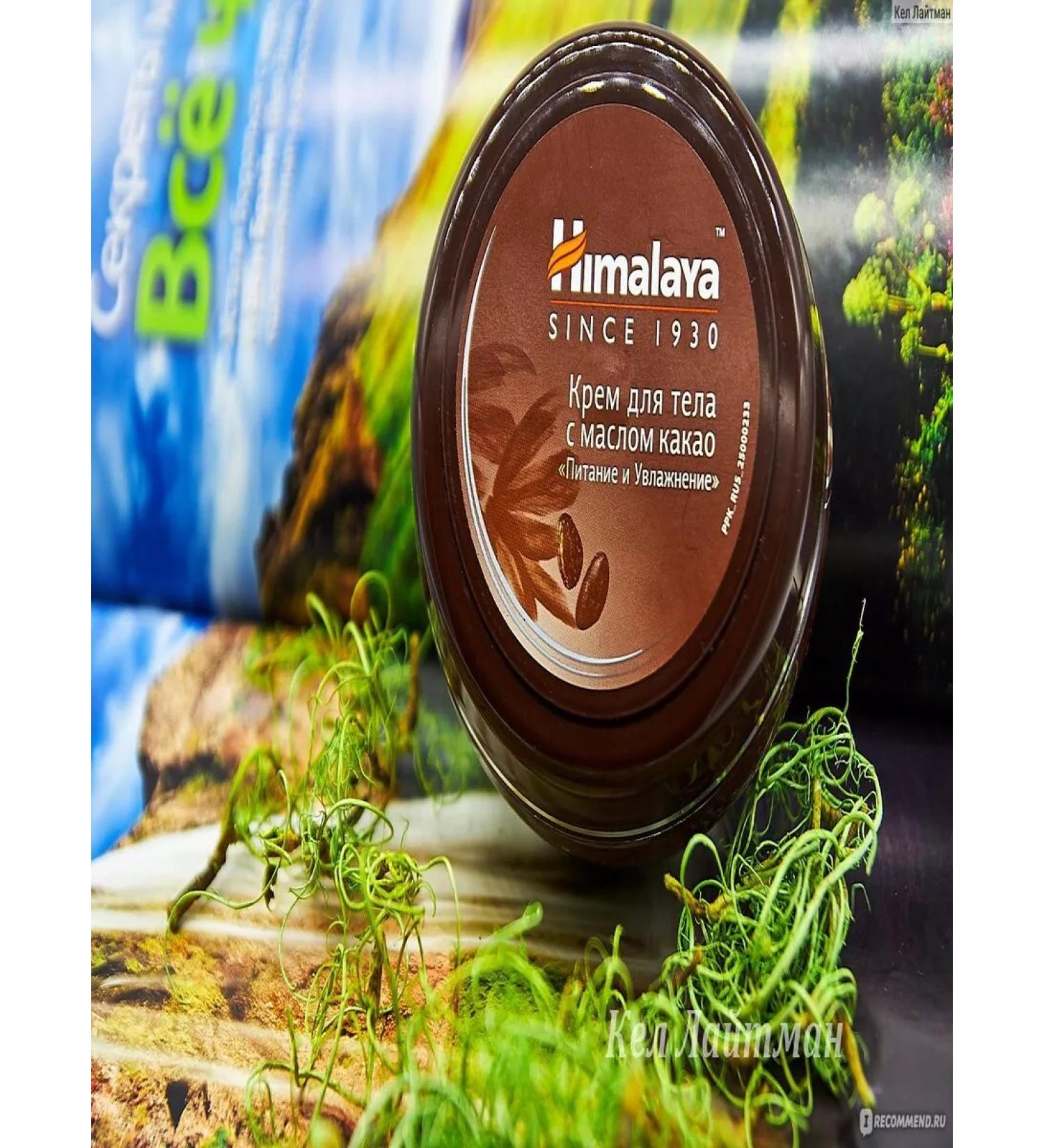 Body cream with cocoa cocoa Himalaya 50 ml