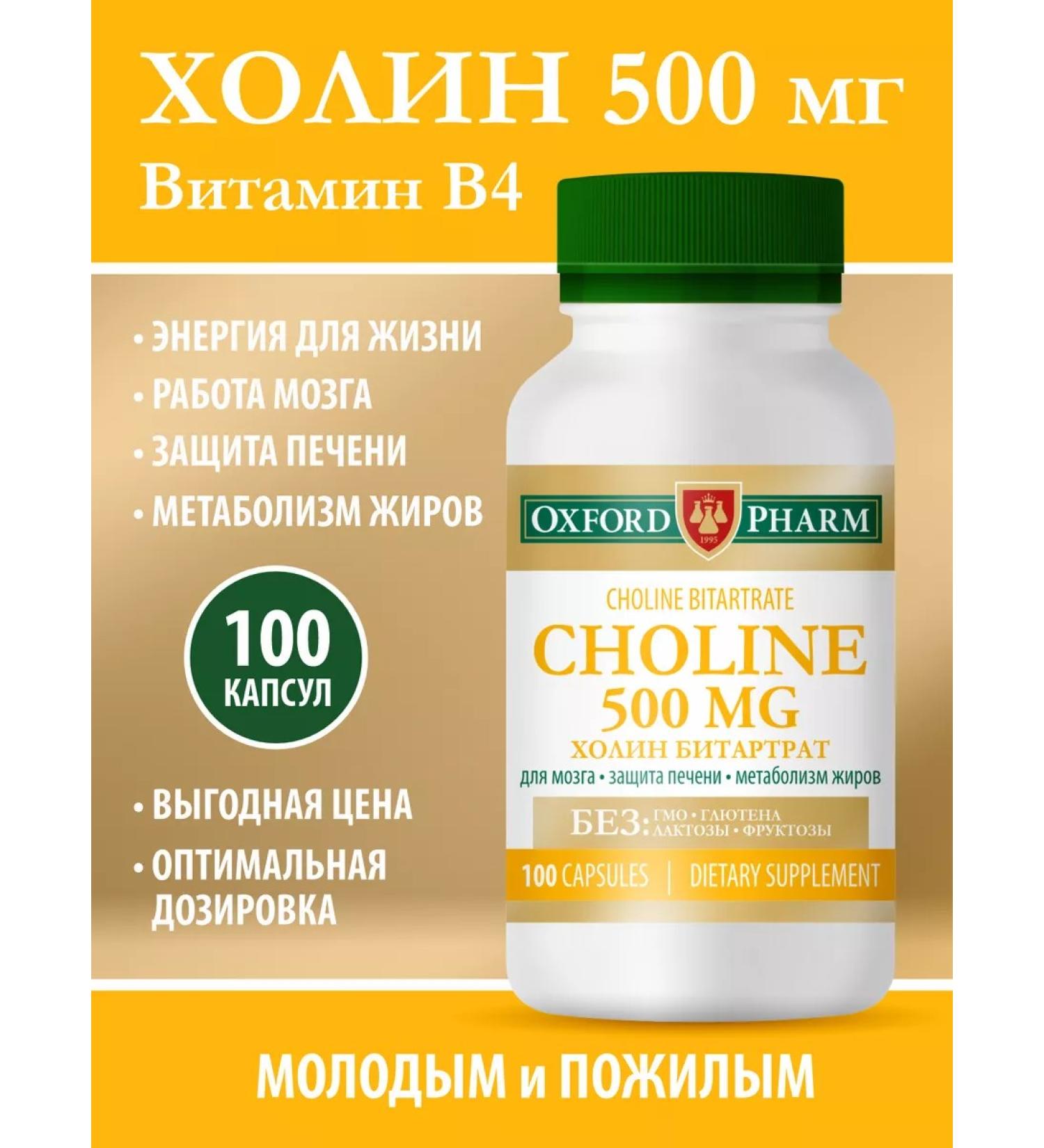 OXFORD PHARM Choline 500 vitamin B4 for the brain and memory for the liver - Buy Online on GoSupps.com