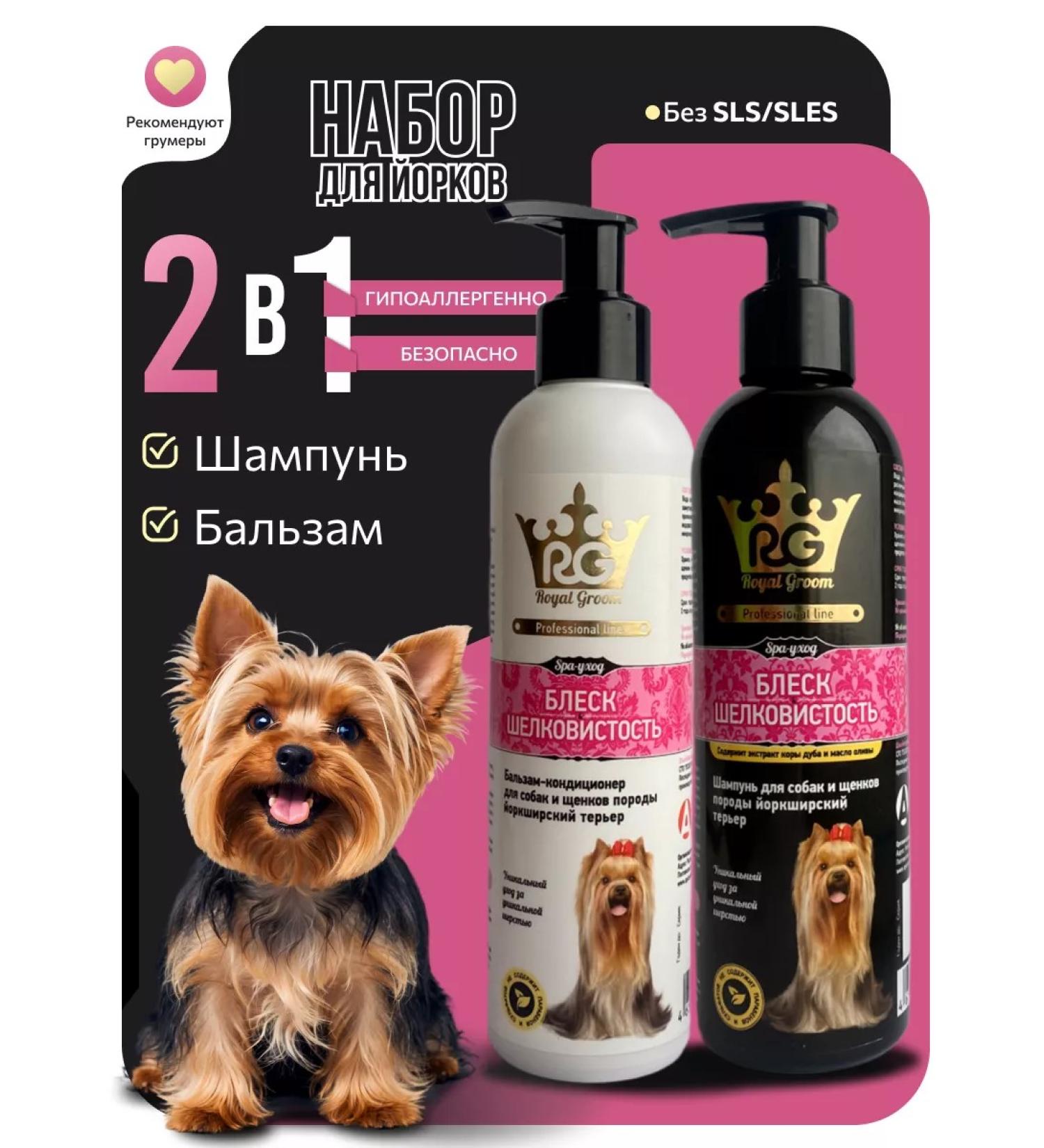 Apicenna Royal Growom Shampoo and Yorki air conditioning - Buy Online on GoSupps.com