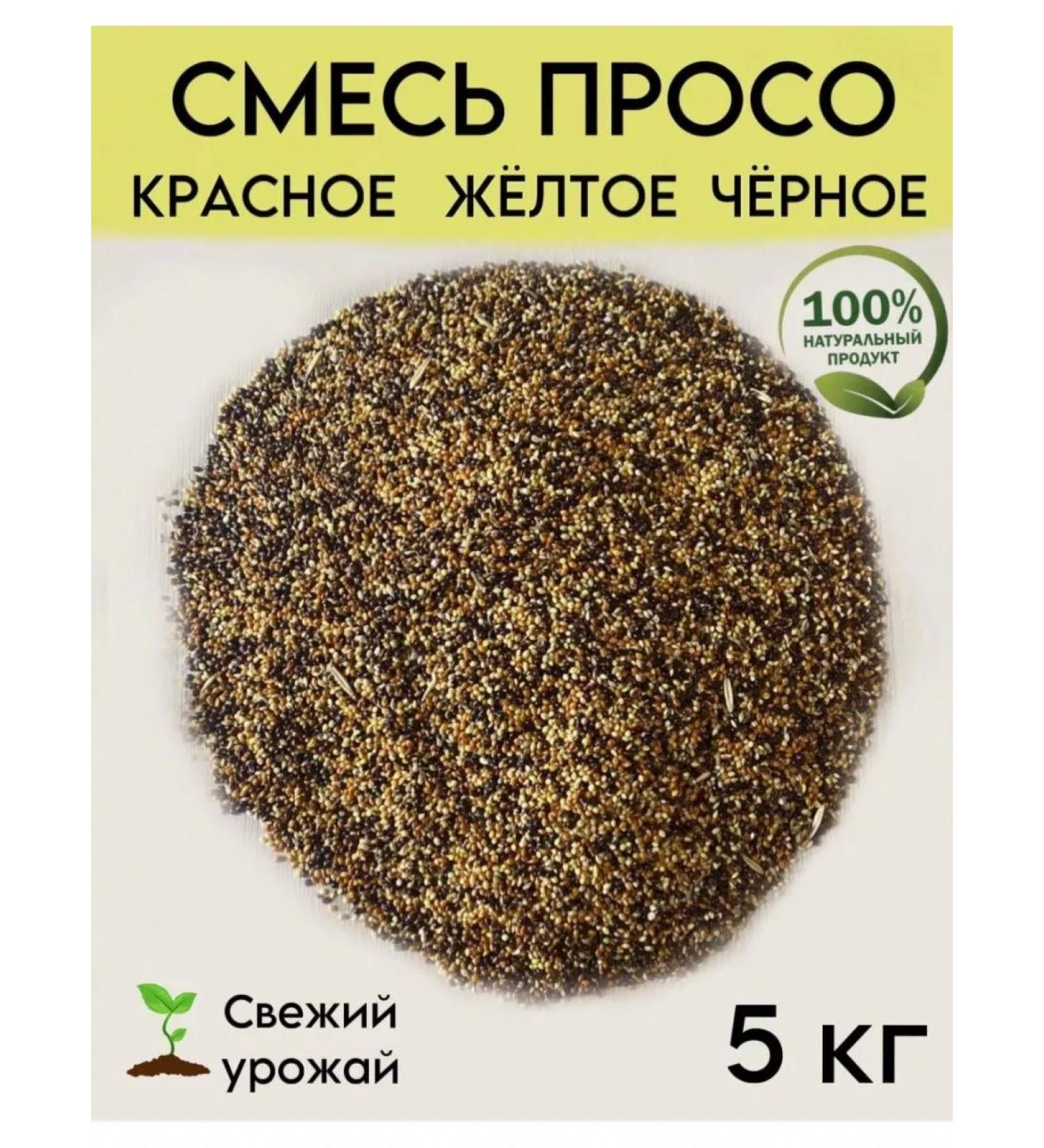 Wild Bird Yellow red red black for parrots of birds and rodents - Buy Online on GoSupps.com