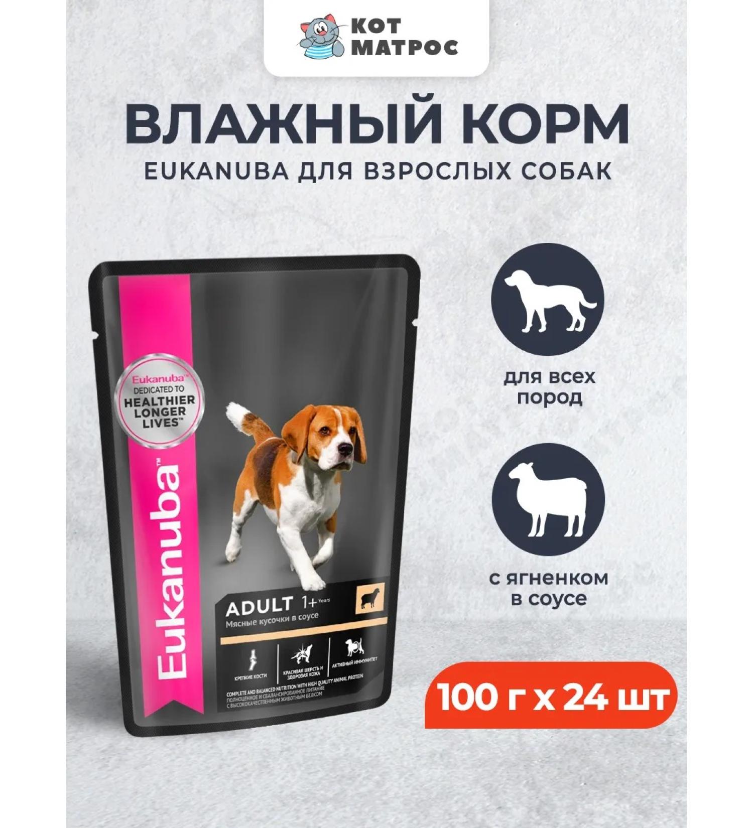 Eukanuba Spider for dogs with lamb in sauce - 100 g x 24 pcs - Buy Online on GoSupps.com
