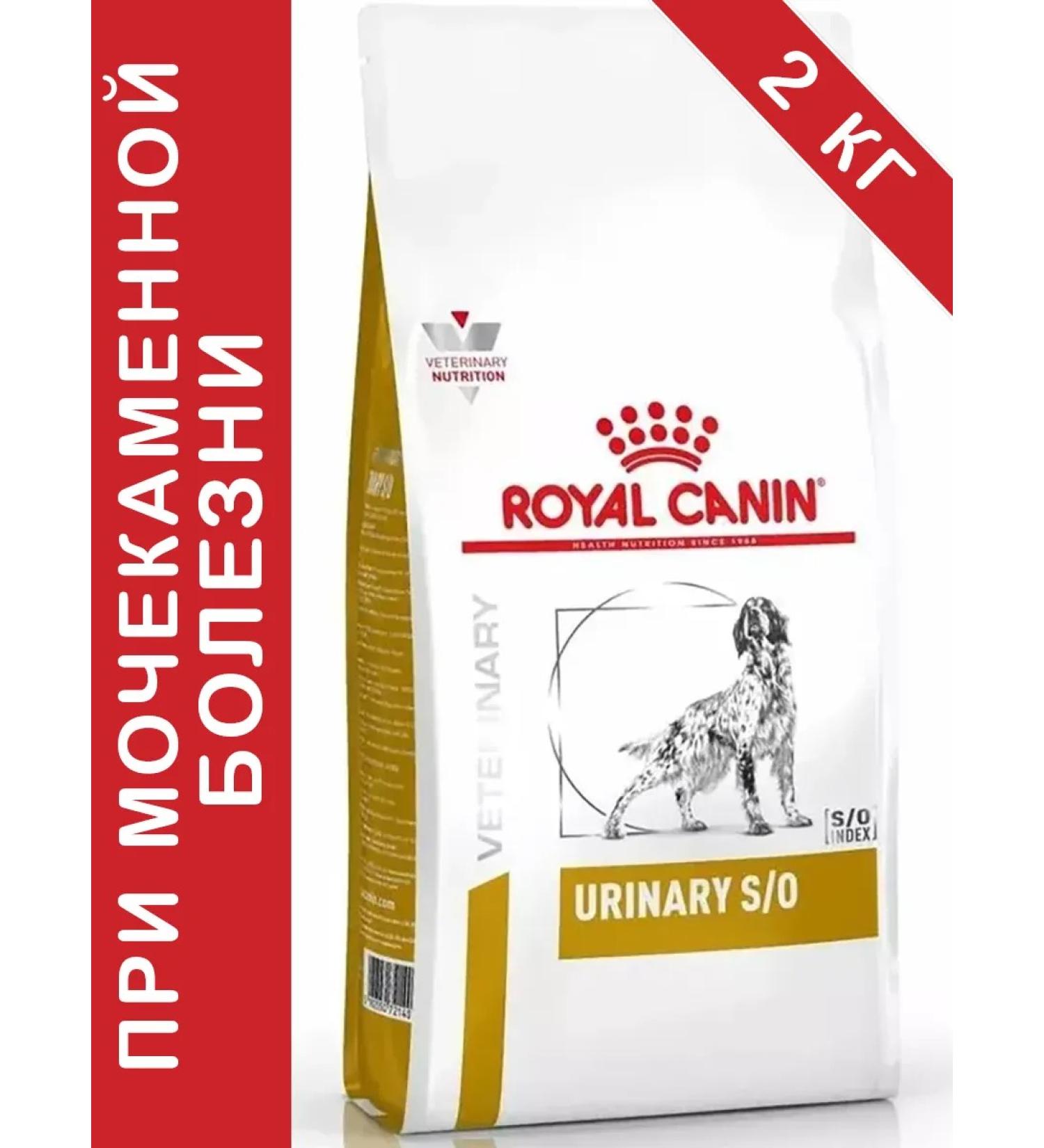 ROYAL CANIN Urinary SO for dogs at an ICB of 2 kg Urinaries with - Buy Online on GoSupps.com