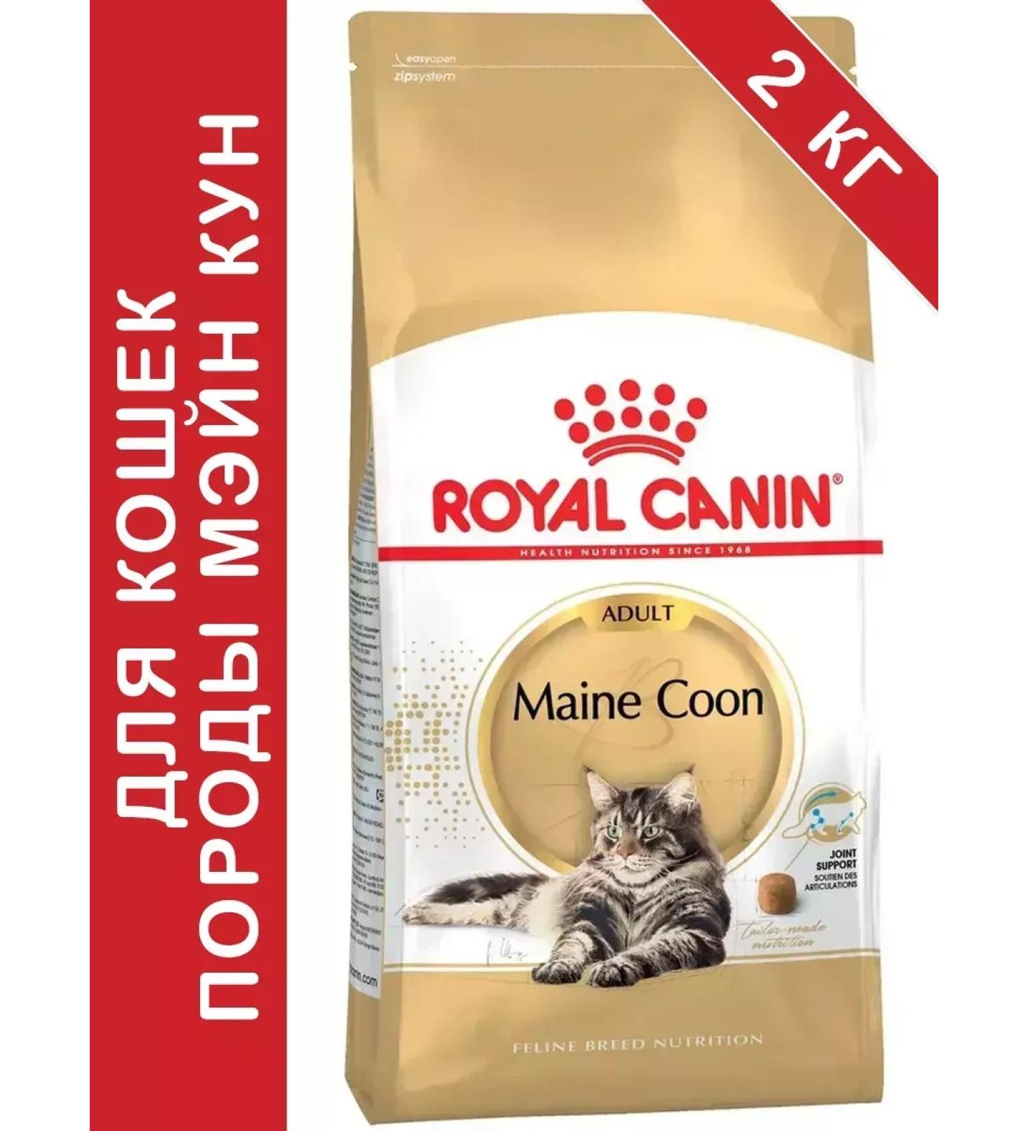 ROYAL CANIN Main Coon Adult for Cat 2 kg Main Kun - Buy Online on GoSupps.com