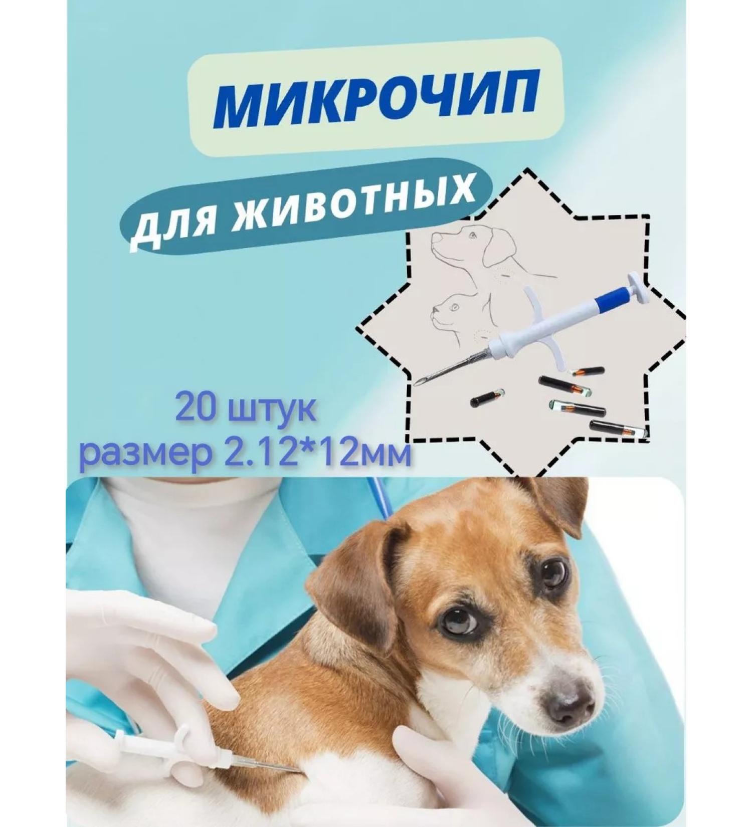 ICAR Microchips 2.12x12mm for pets in a syringe 20 pcs - Buy Online on GoSupps.com
