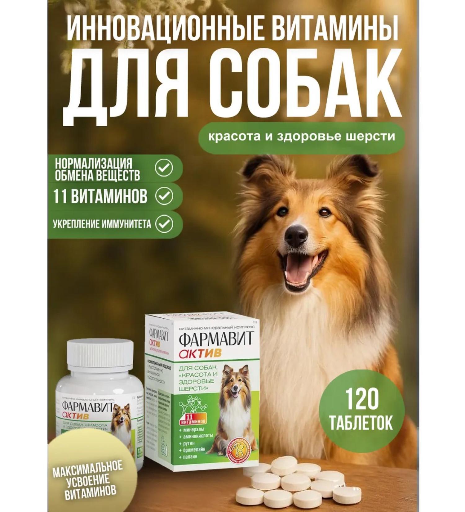 Farmavit Active Vitamins Pharmacitactive Beauty and Health of Dog Wool 120t - Buy Online on GoSupps.com