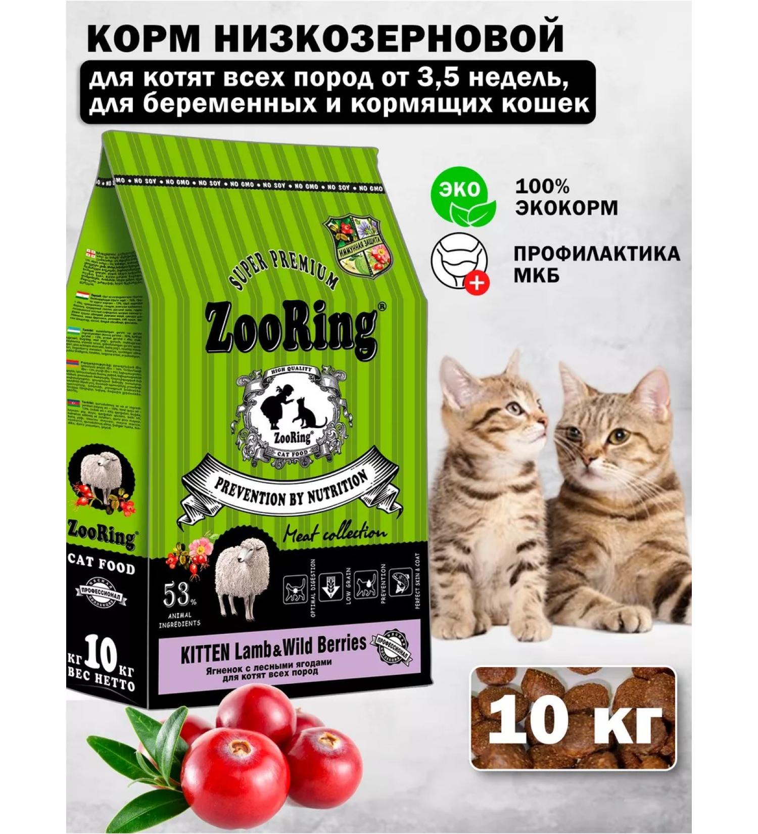 ZooRing Dry food for kittens kitten lamb lamb and berries 10 kg - Buy Online on GoSupps.com