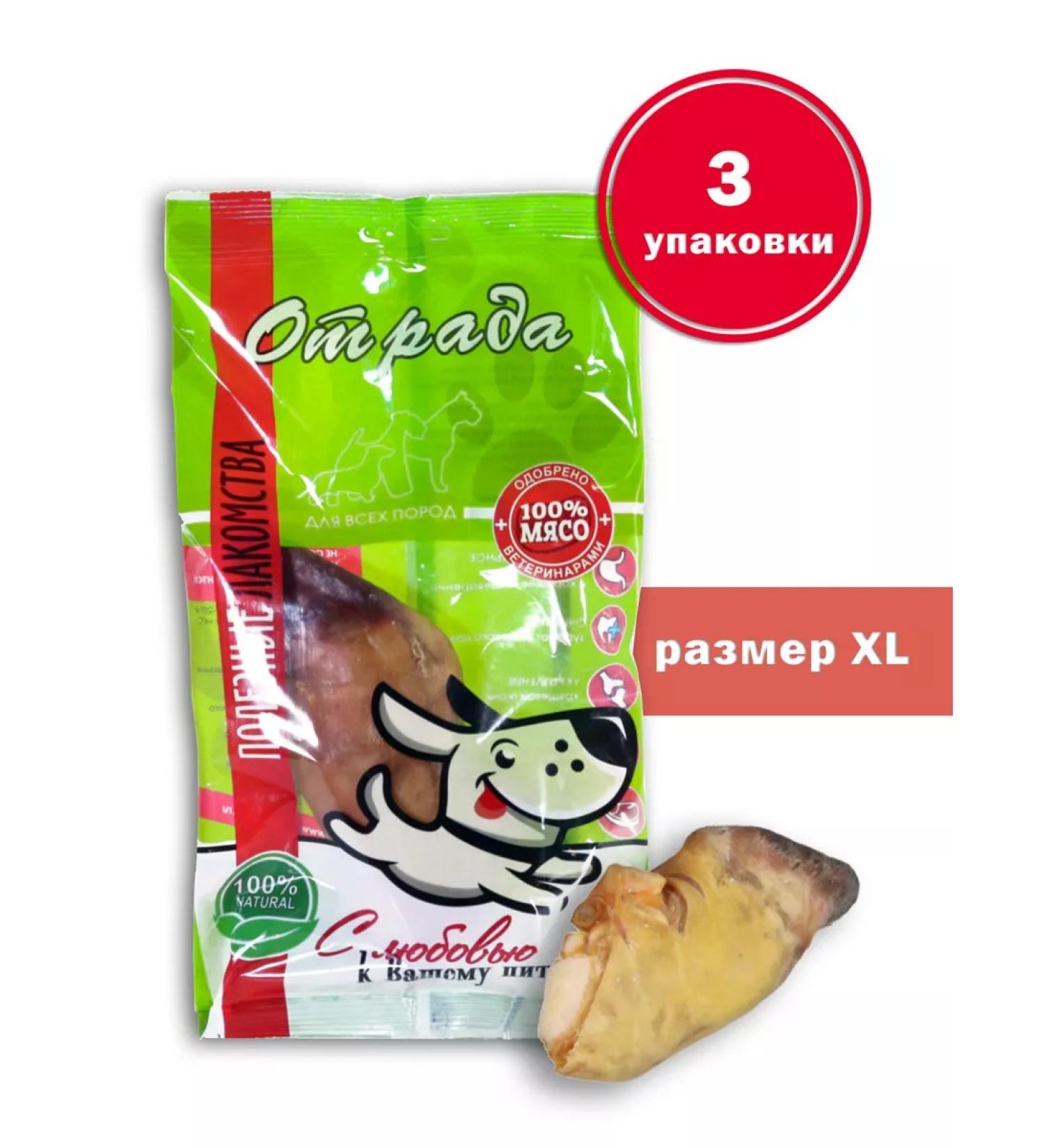 CONJOY Hoof of beef XL from 200 g to 300 g - 3 packages - Buy Online on GoSupps.com