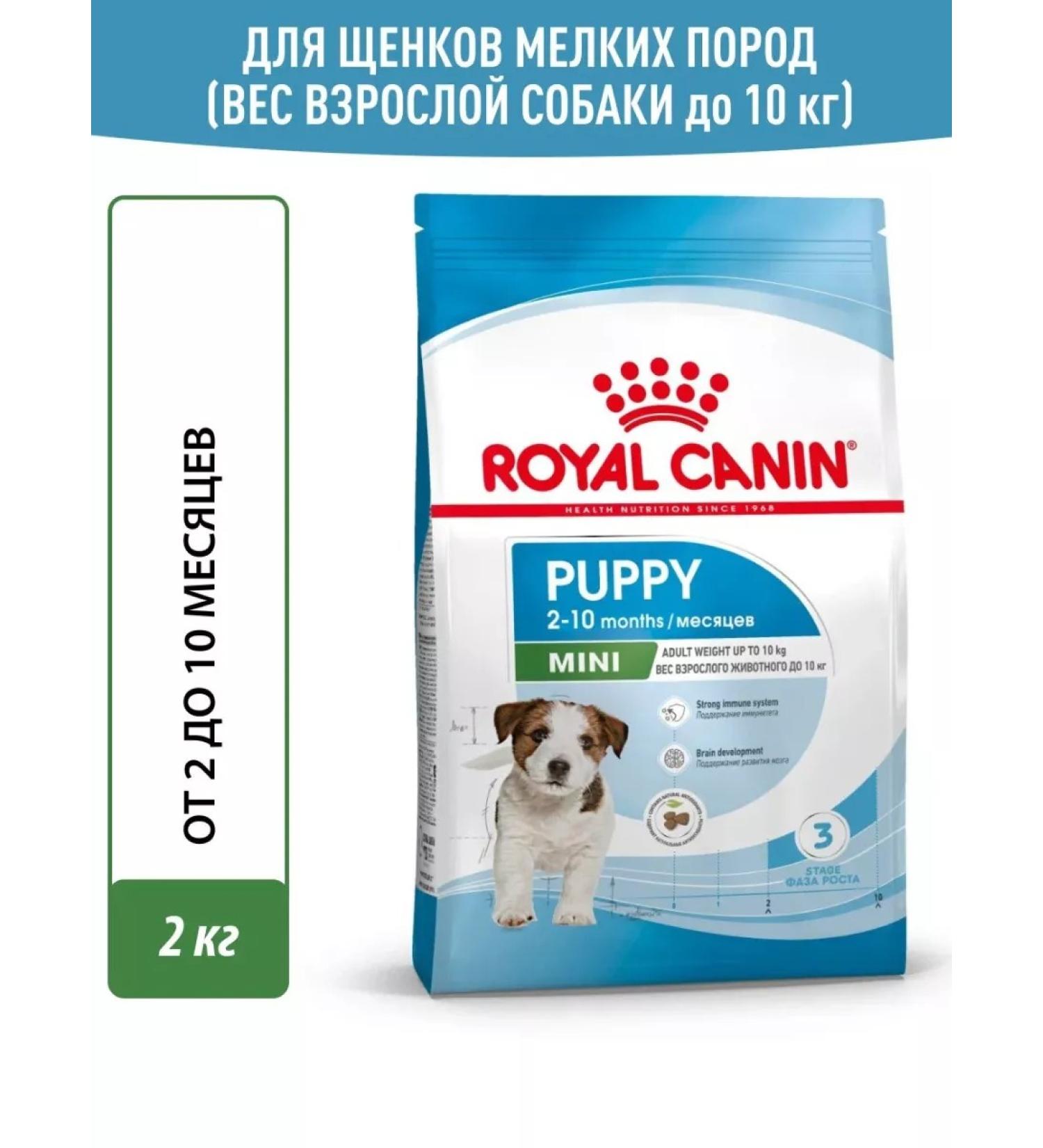 ROYAL CANIN Dry Mini Puppy food for small puppies up to 10 months 2kg - Buy Online on GoSupps.com