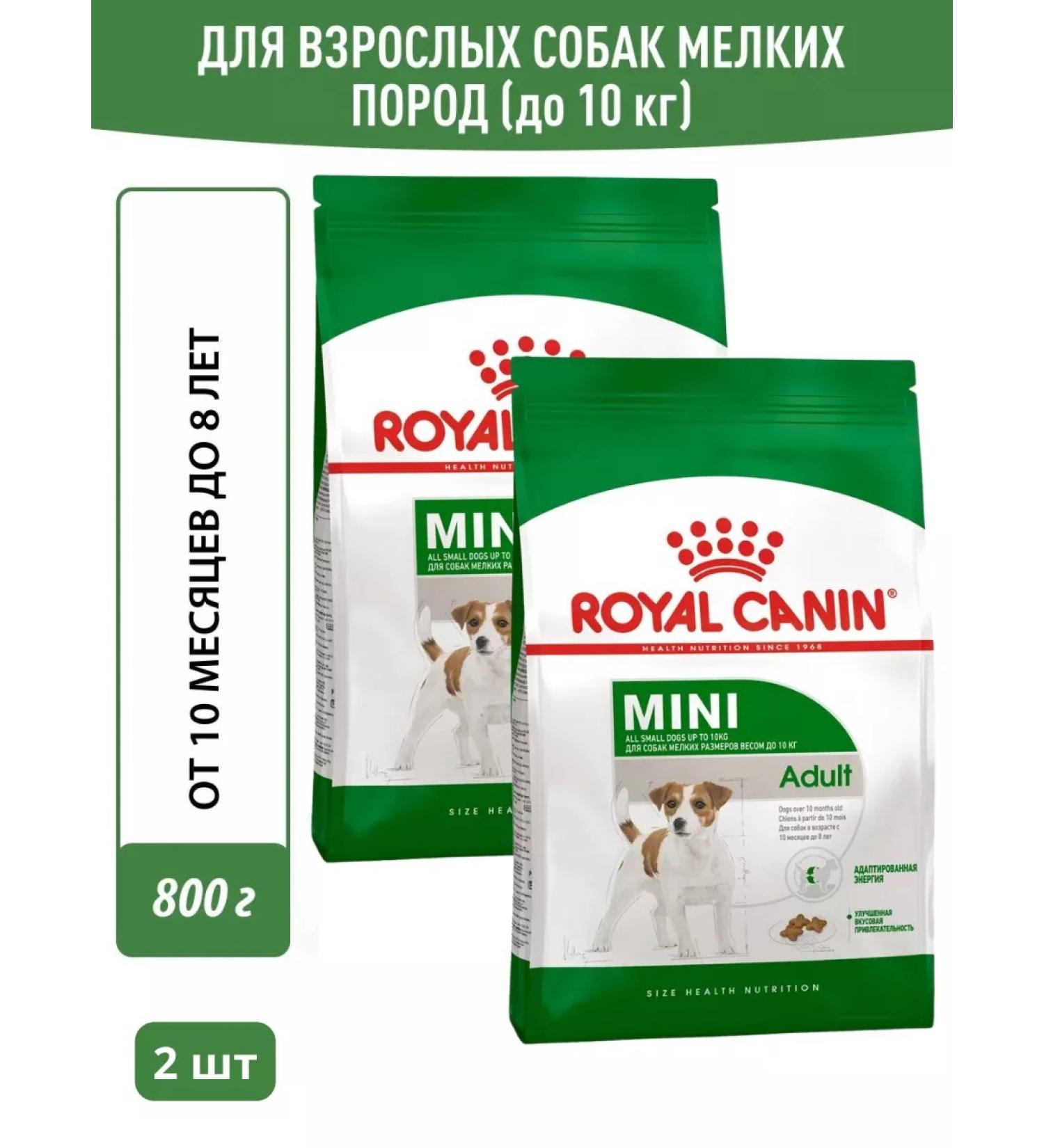 ROYAL CANIN Dry Mini Adult food for small dogs from 10 months 800g 2pcs - Buy Online on GoSupps.com