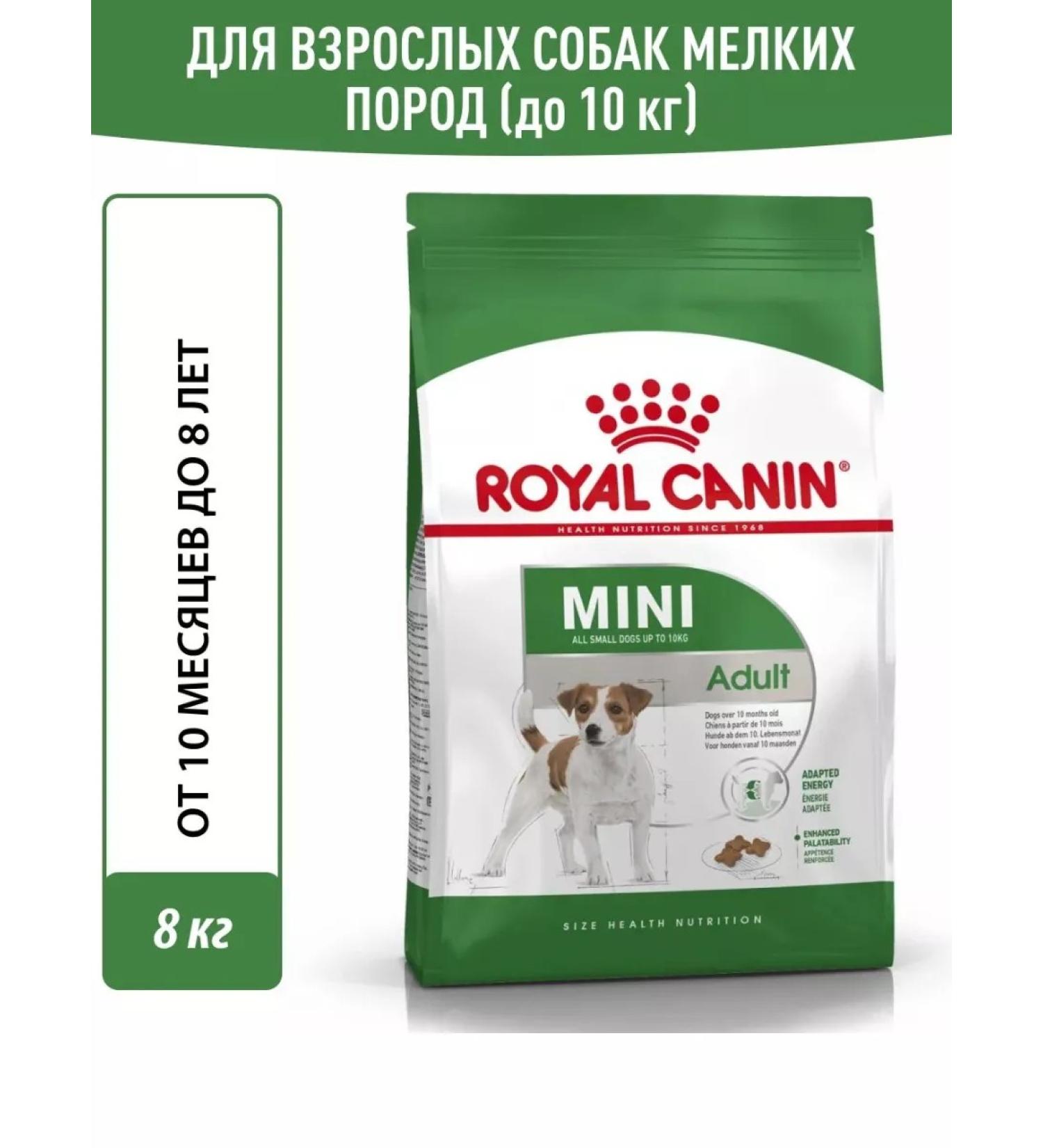 ROYAL CANIN Dry Mini Adult food for small dogs from 10 months 8 kg - Buy Online on GoSupps.com