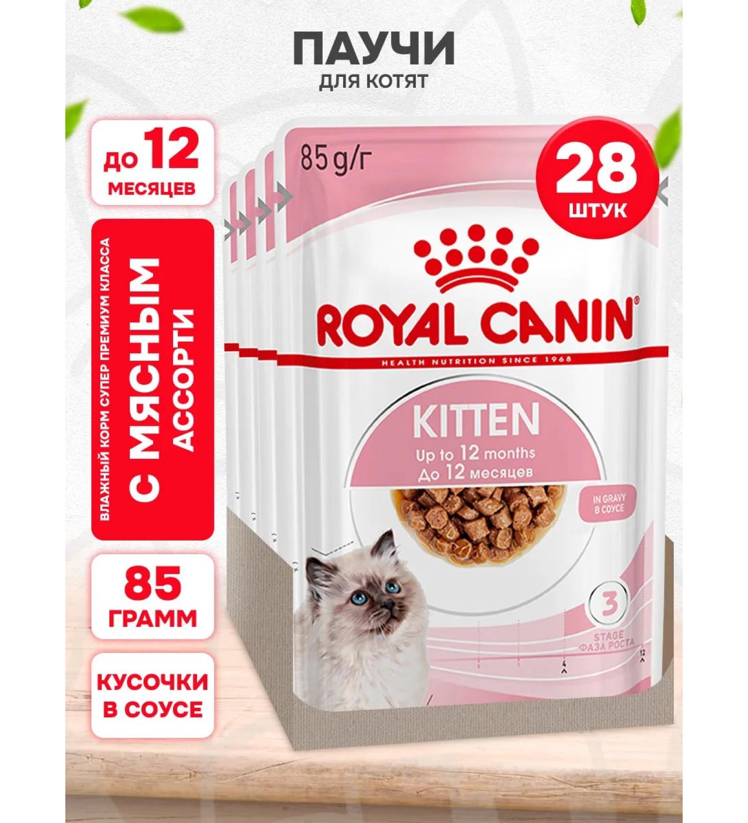 ROYAL CANIN Kitten Kitten kittens in sauce 85 g 28 pcs - Buy Online on GoSupps.com