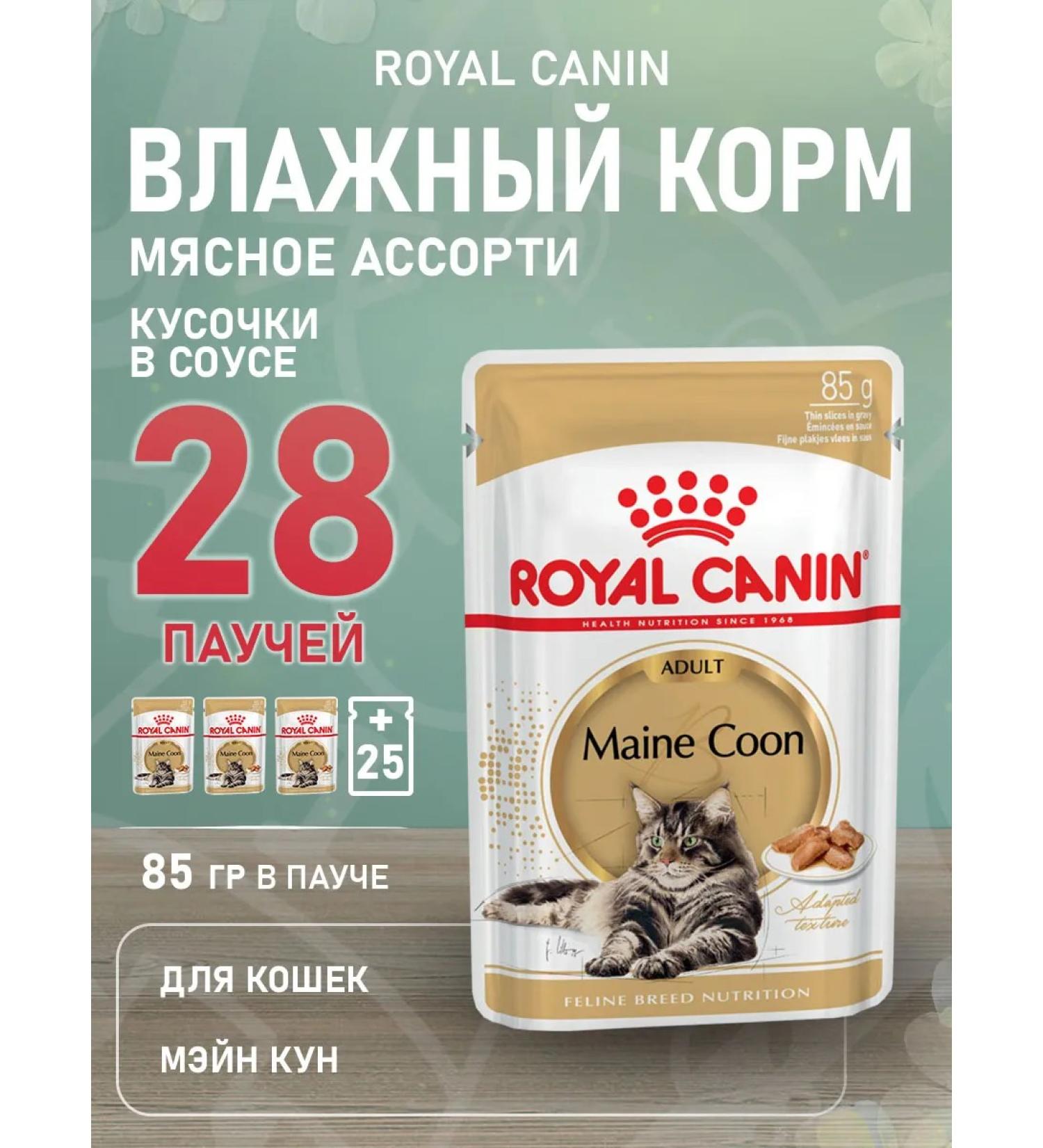 ROYAL CANIN Cat food moist Main Coon Maine Kun 85 g 28 pcs - Buy Online on GoSupps.com