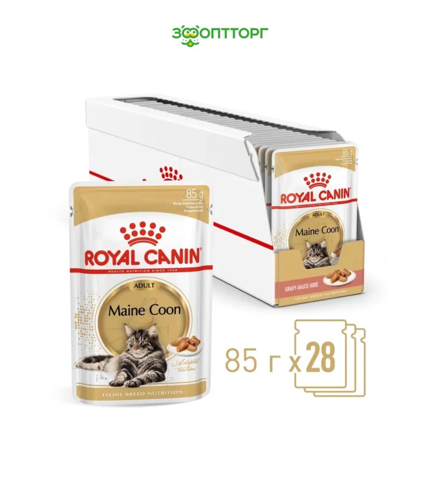 Royal Canin Wet feed for Maine Coons (in sauce) 85g x 28pcs - Buy Online on GoSupps.com