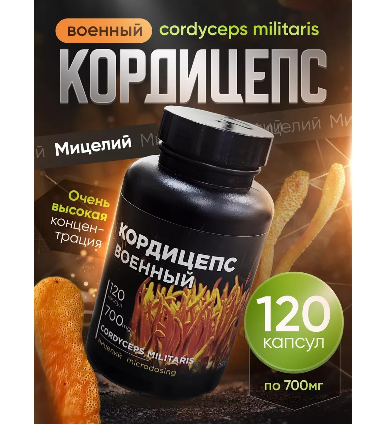 Altai foothills Cordyceps Military Chinese Capsules 120pcs - Buy Online on GoSupps.com