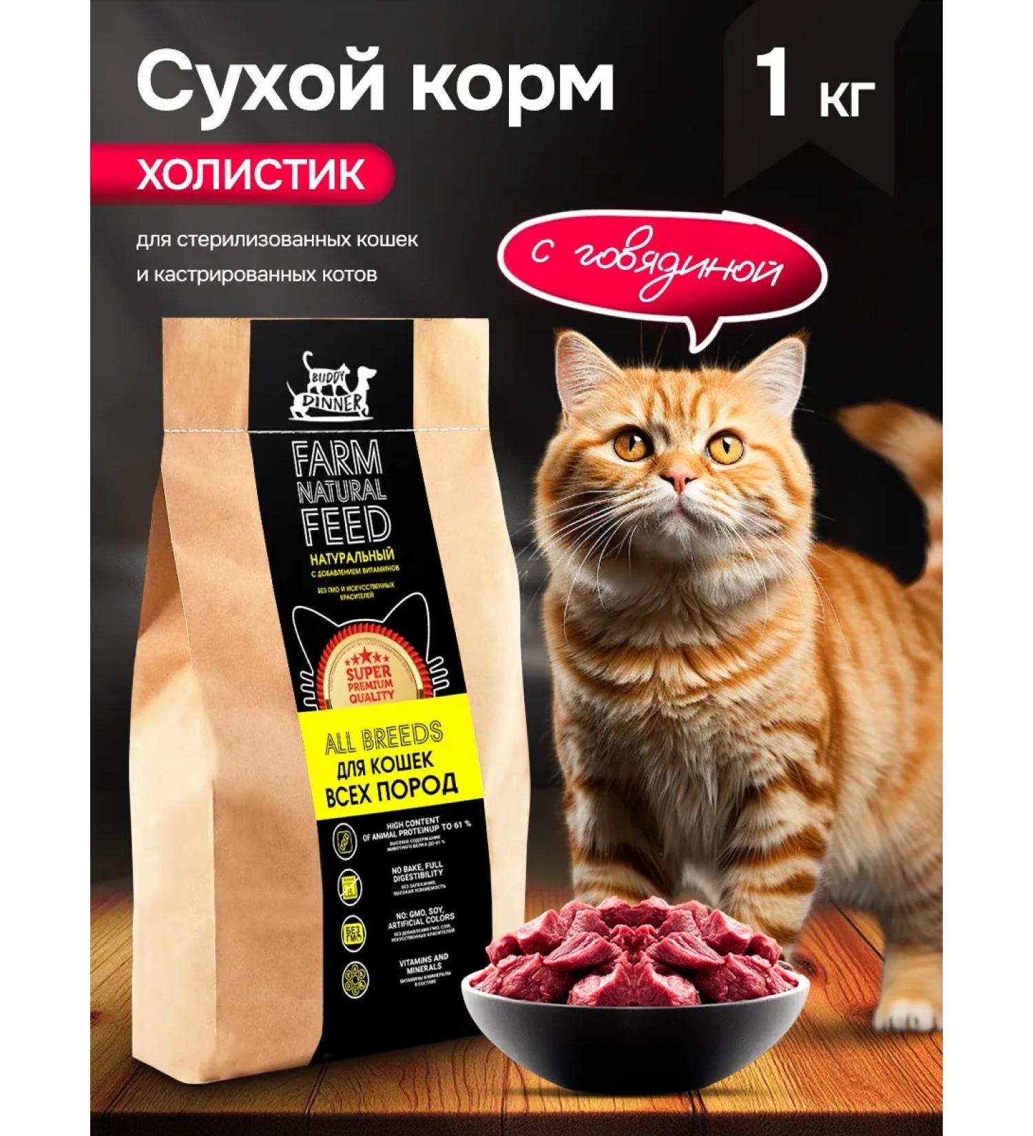 BUDDY DINNER Dry food for cats with beef 1 kg - Buy Online on GoSupps.com