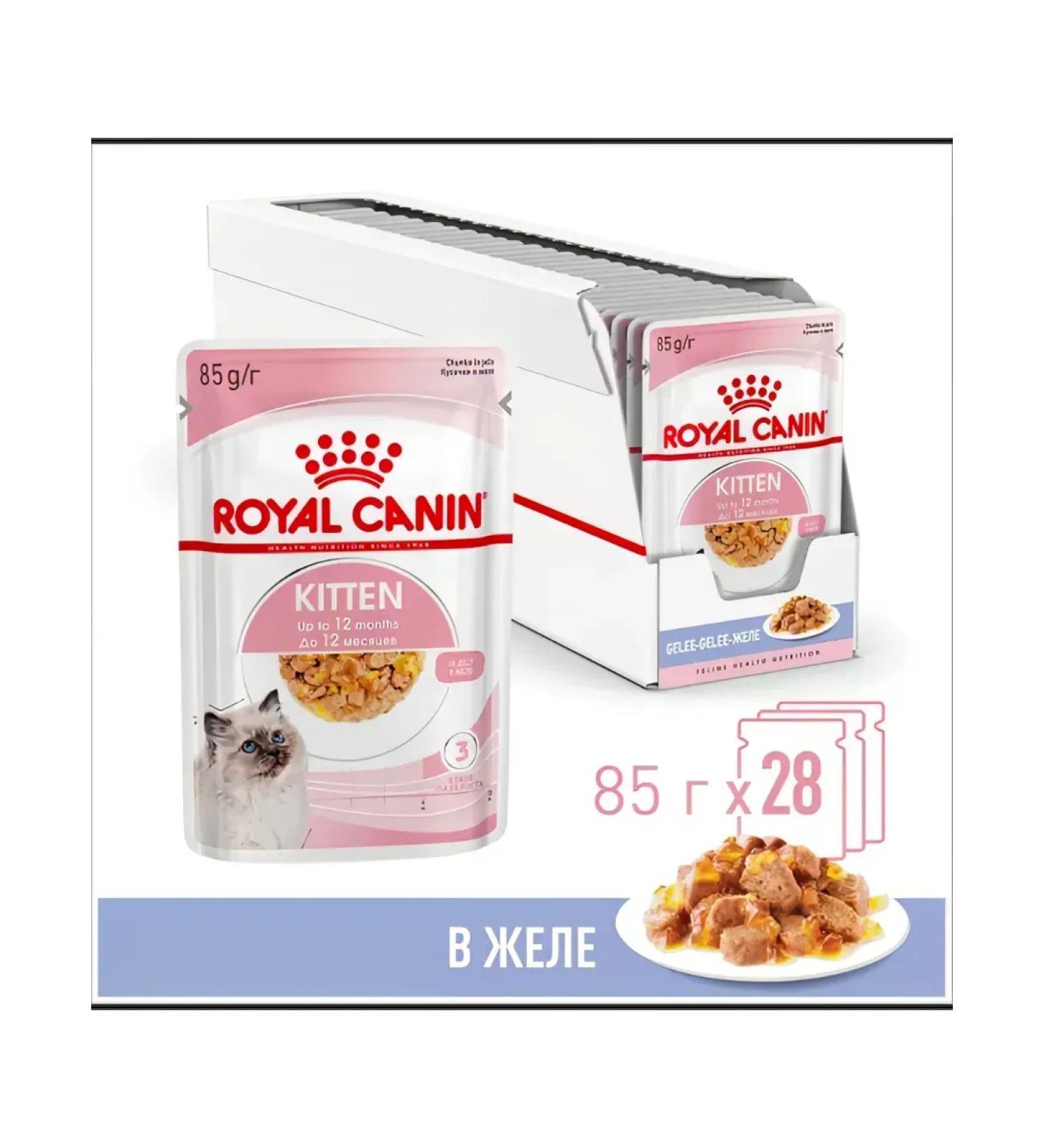 ROYAL CANIN Kitten Wet food (spider) for kittens in jelly 28 x 85 g - Buy Online on GoSupps.com