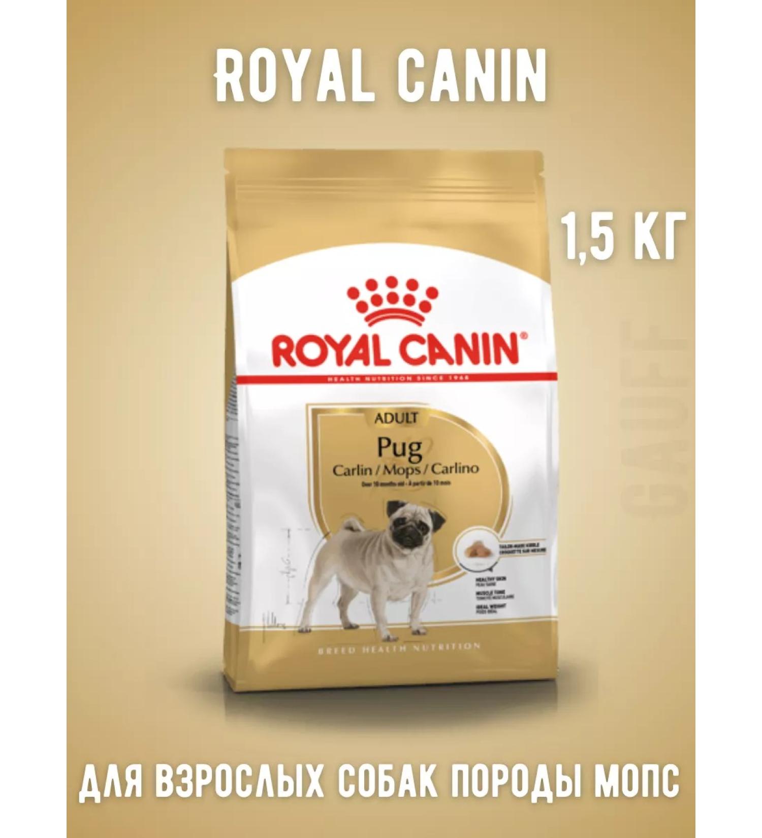 ROYAL CANIN Pug food dry for adult dogs pugs 1.5 kg - Buy Online on GoSupps.com