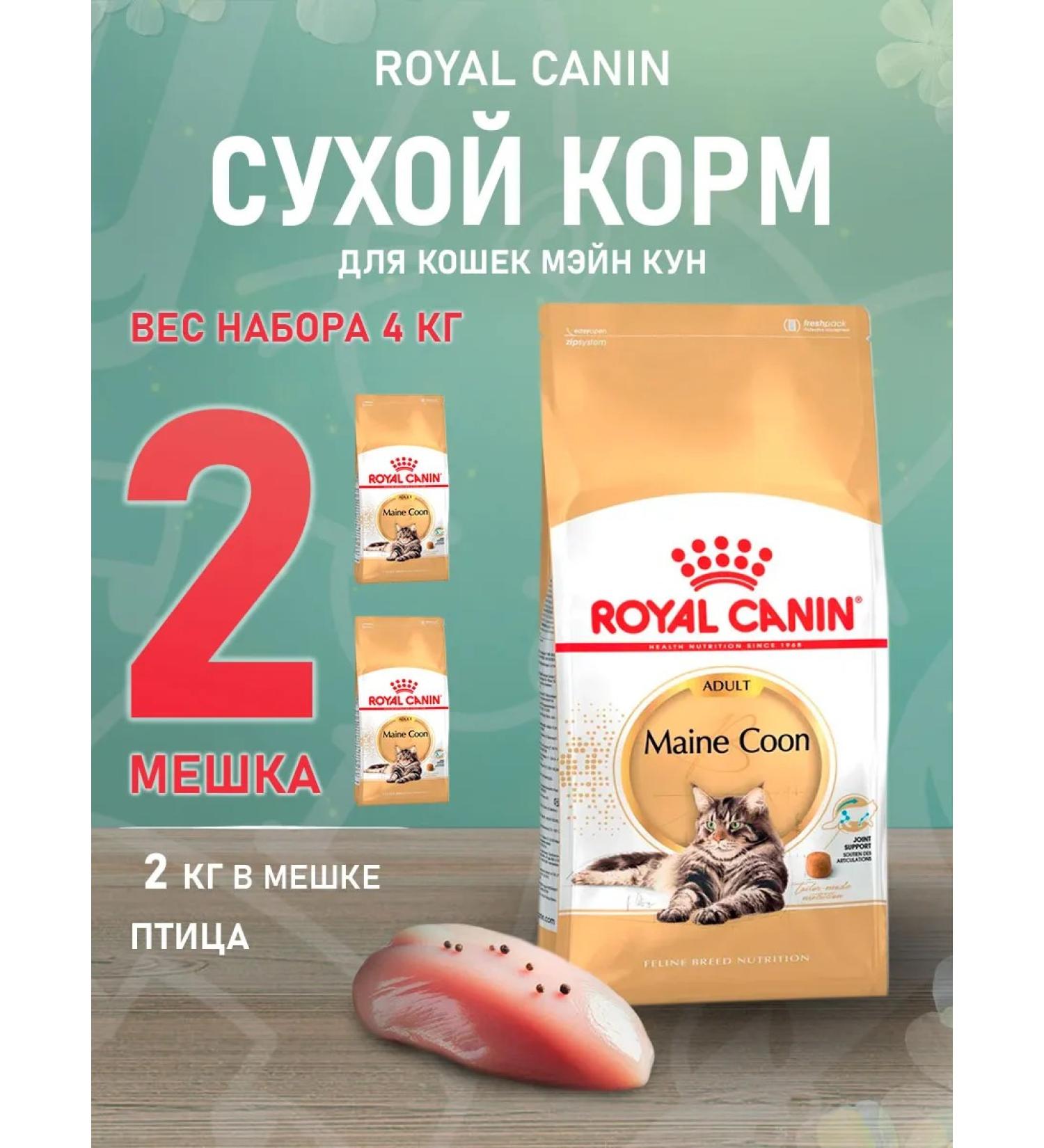 ROYAL CANIN Dry Main Coon Feed for cats Maine Kun 2 kg 2 pcs - Buy Online on GoSupps.com