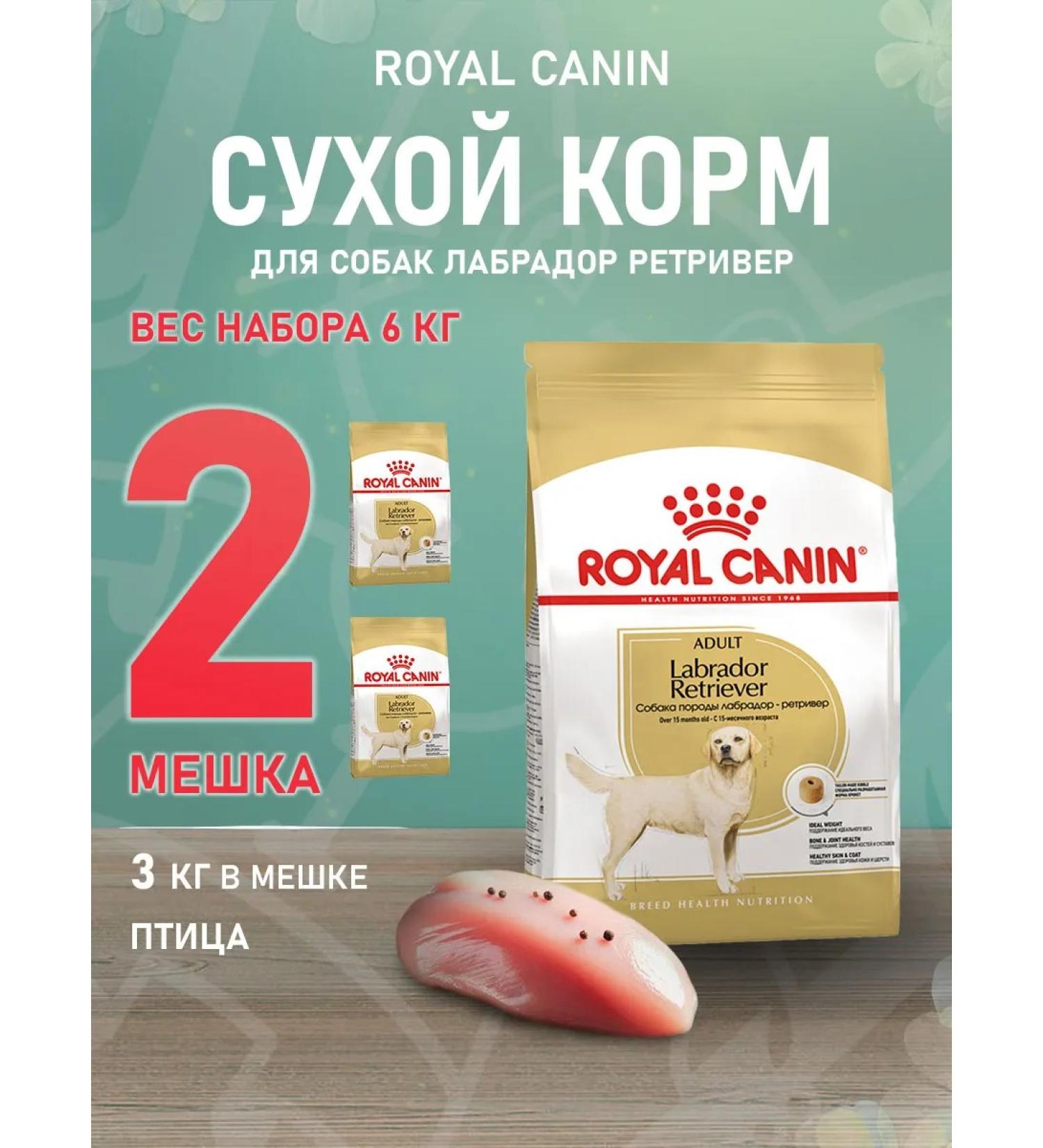 ROYAL CANIN Dry Labrador Retriever food for dogs Labrador 3 kg 2 pcs - Buy Online on GoSupps.com