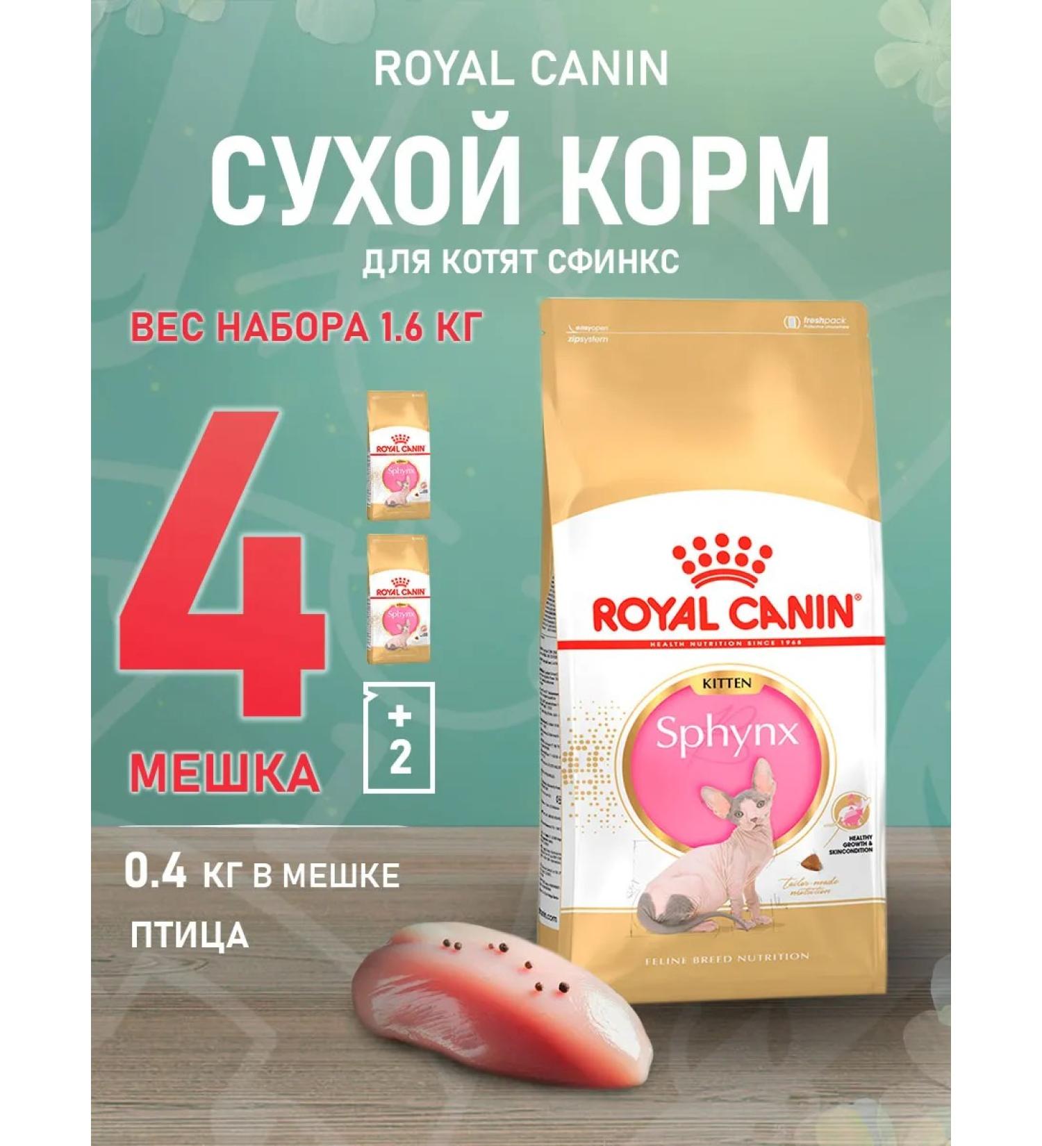 ROYAL CANIN SPhynx dry food for kittens Sphinx 0.4 kg 4 pcs - Buy Online on GoSupps.com