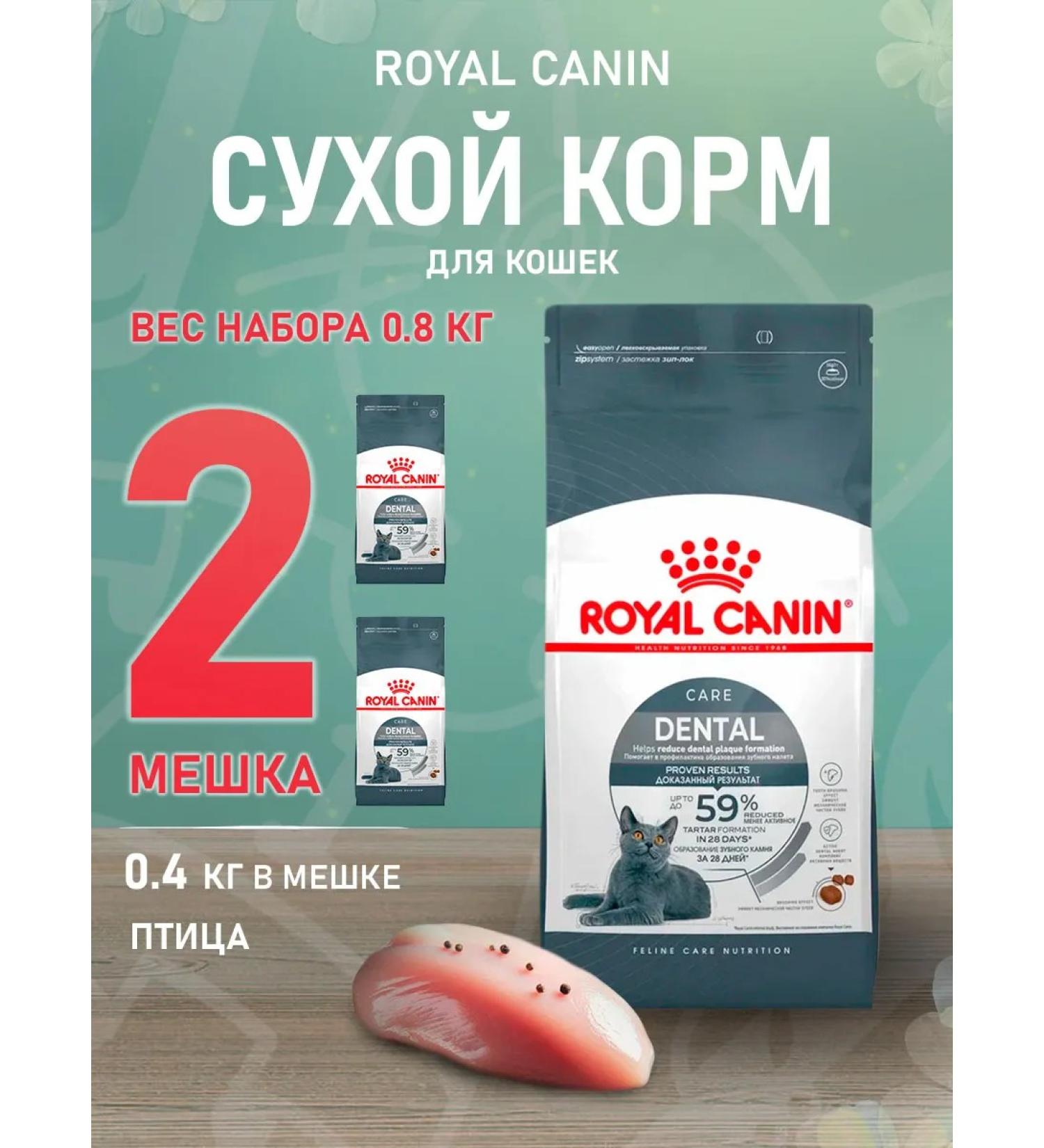 ROYAL CANIN Dry dental Care food for dental cats 0.4 kg 2 pcs - Buy Online on GoSupps.com