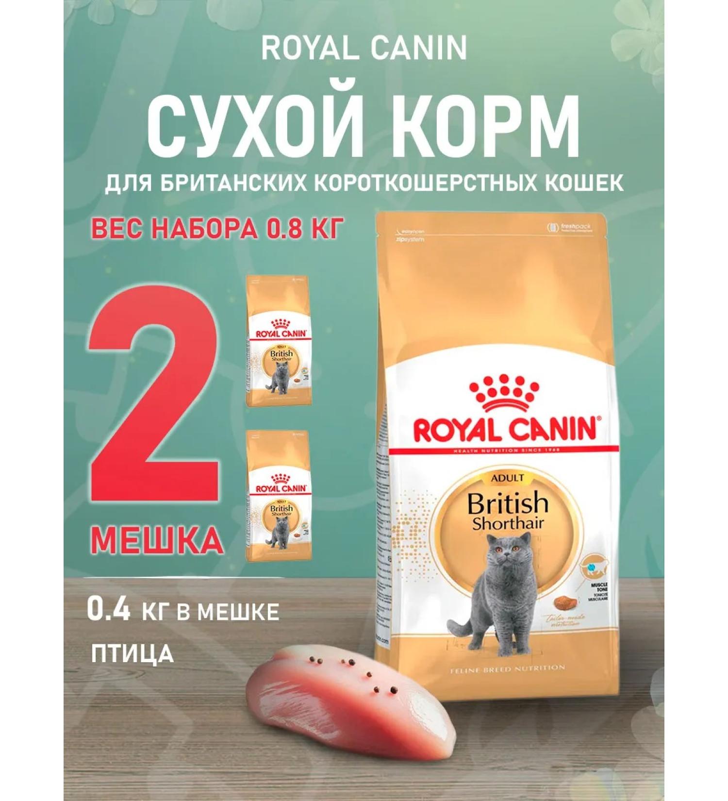 ROYAL CANIN Dry food British shorthair for cats British 0.4 kg 2pcs - Buy Online on GoSupps.com