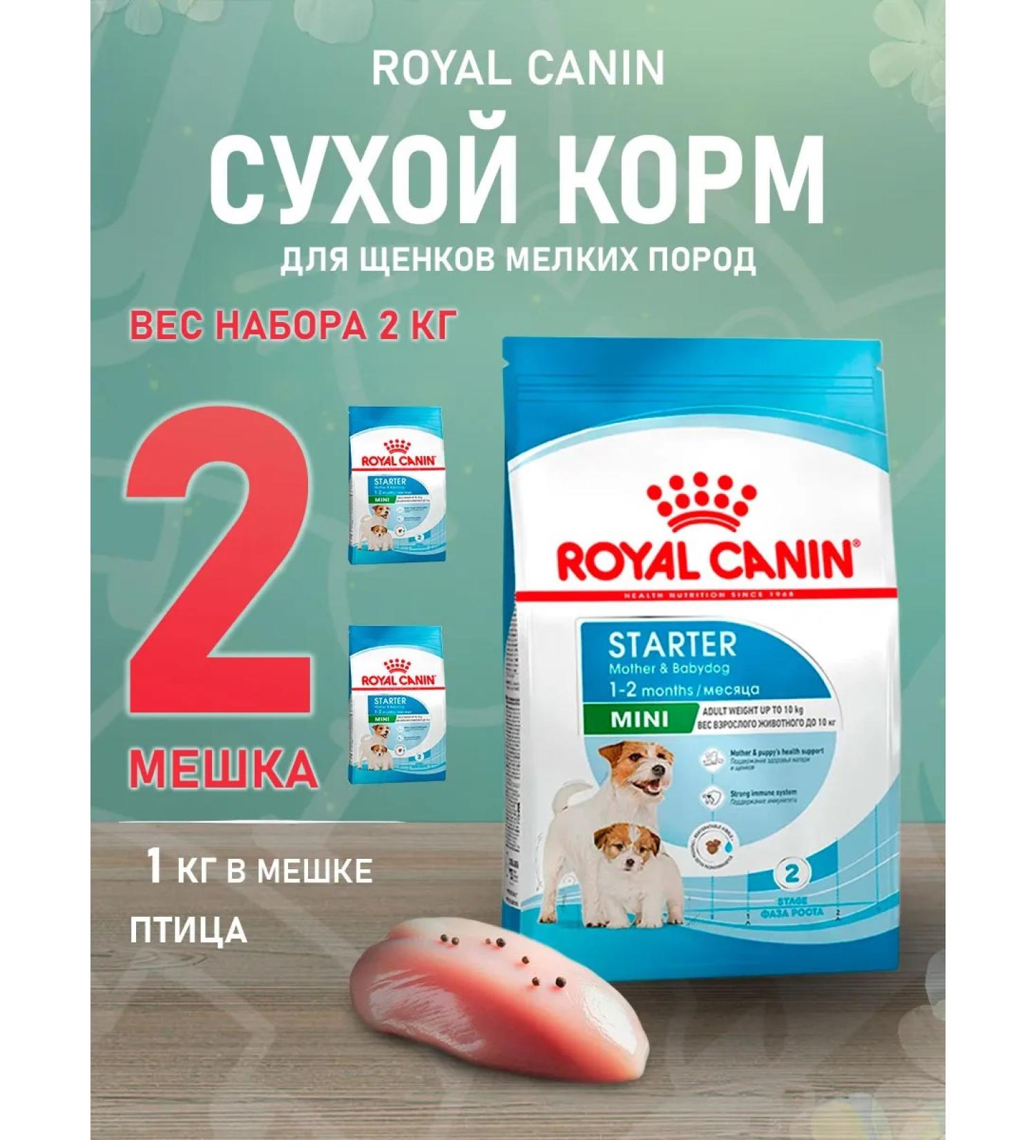 ROYAL CANIN Dry Mini Starter feed minor puppies mini starter 1 kg 2 pcs - Buy Online on GoSupps.com