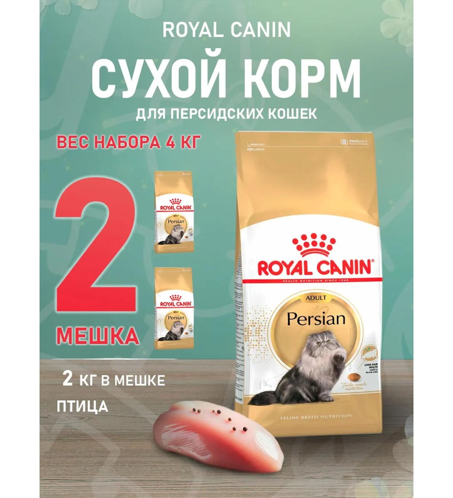 ROYAL CANIN Dry Persian Adult for cats Persian 2 kg 2 pcs - Buy Online on GoSupps.com
