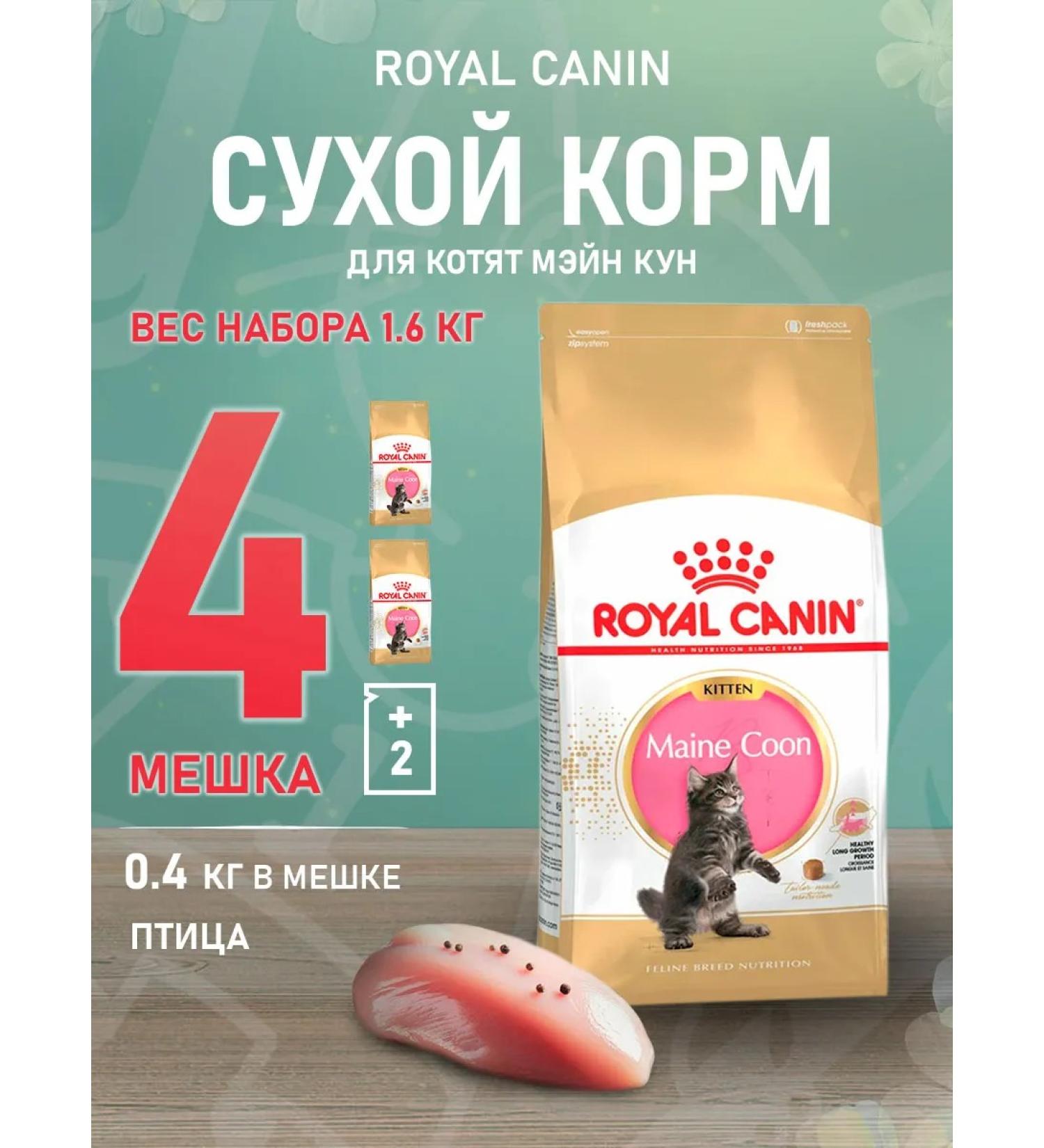 ROYAL CANIN Main Coon Kitten 36 food for kittens Main Kun 0.4 kg 4 pcs - Buy Online on GoSupps.com