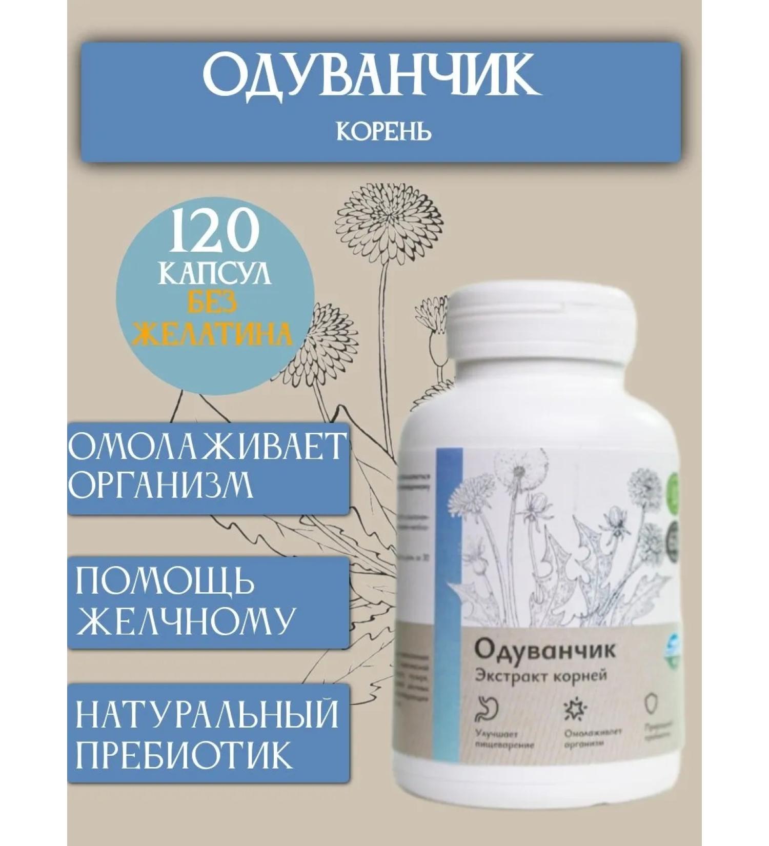 Uralberry Dandelion of roots extract in capsules 120 pcs - Buy Online on GoSupps.com