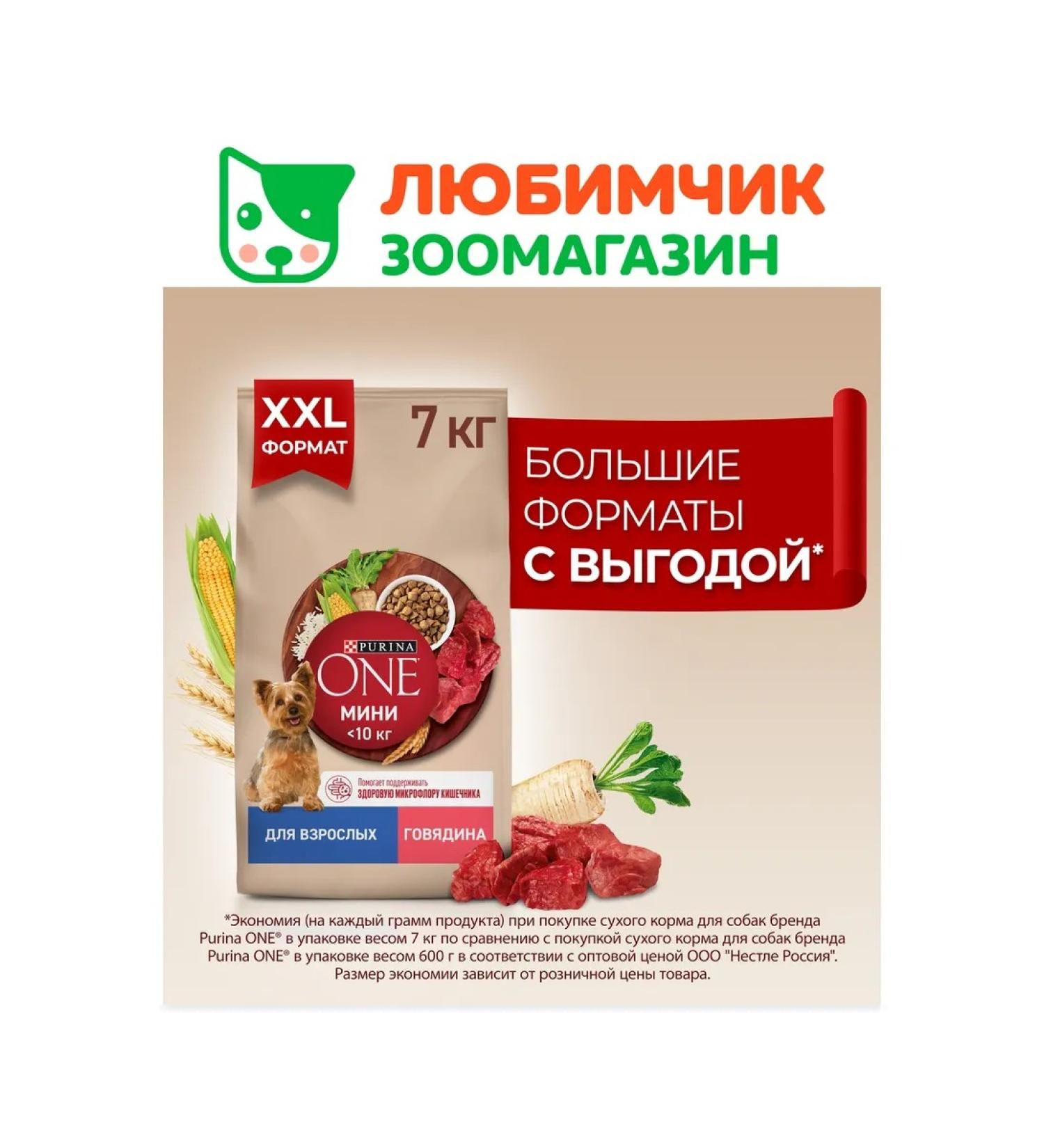 PURINA ONE Feed for adult dogs of small breeds beef and rice 7 kg - Buy Online on GoSupps.com