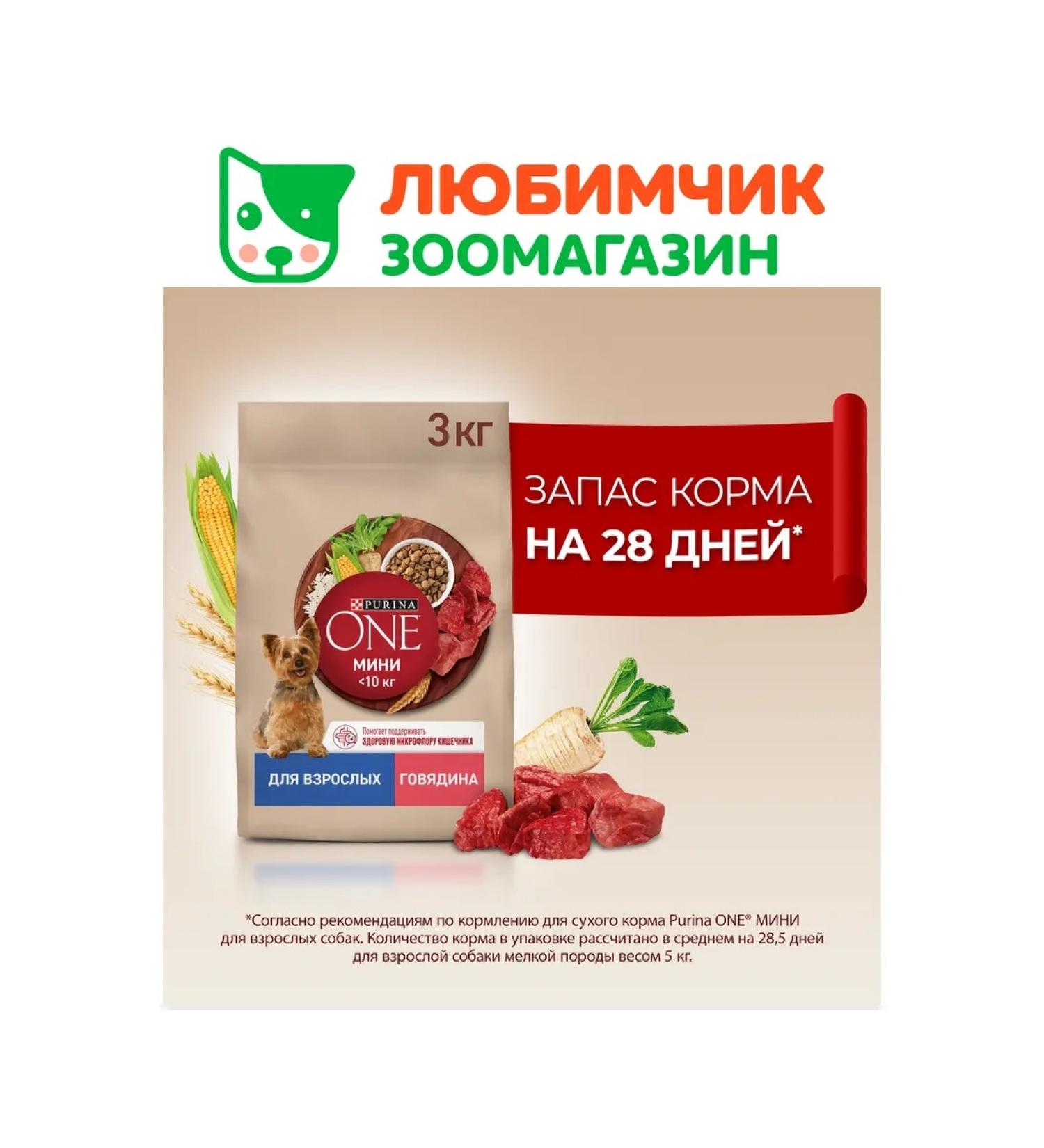 PURINA ONE Feed for adult dogs of small breeds beef and rice 3 kg - Buy Online on GoSupps.com