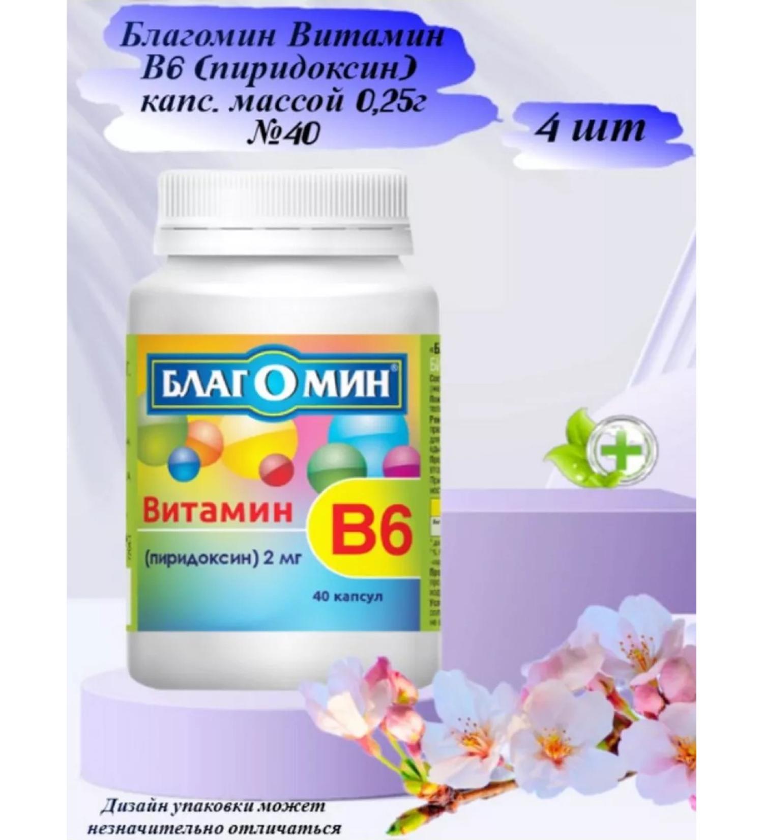 ViS Vitamin B6 pyridoxine 2 mg Blagomin 0.25g 40pcs